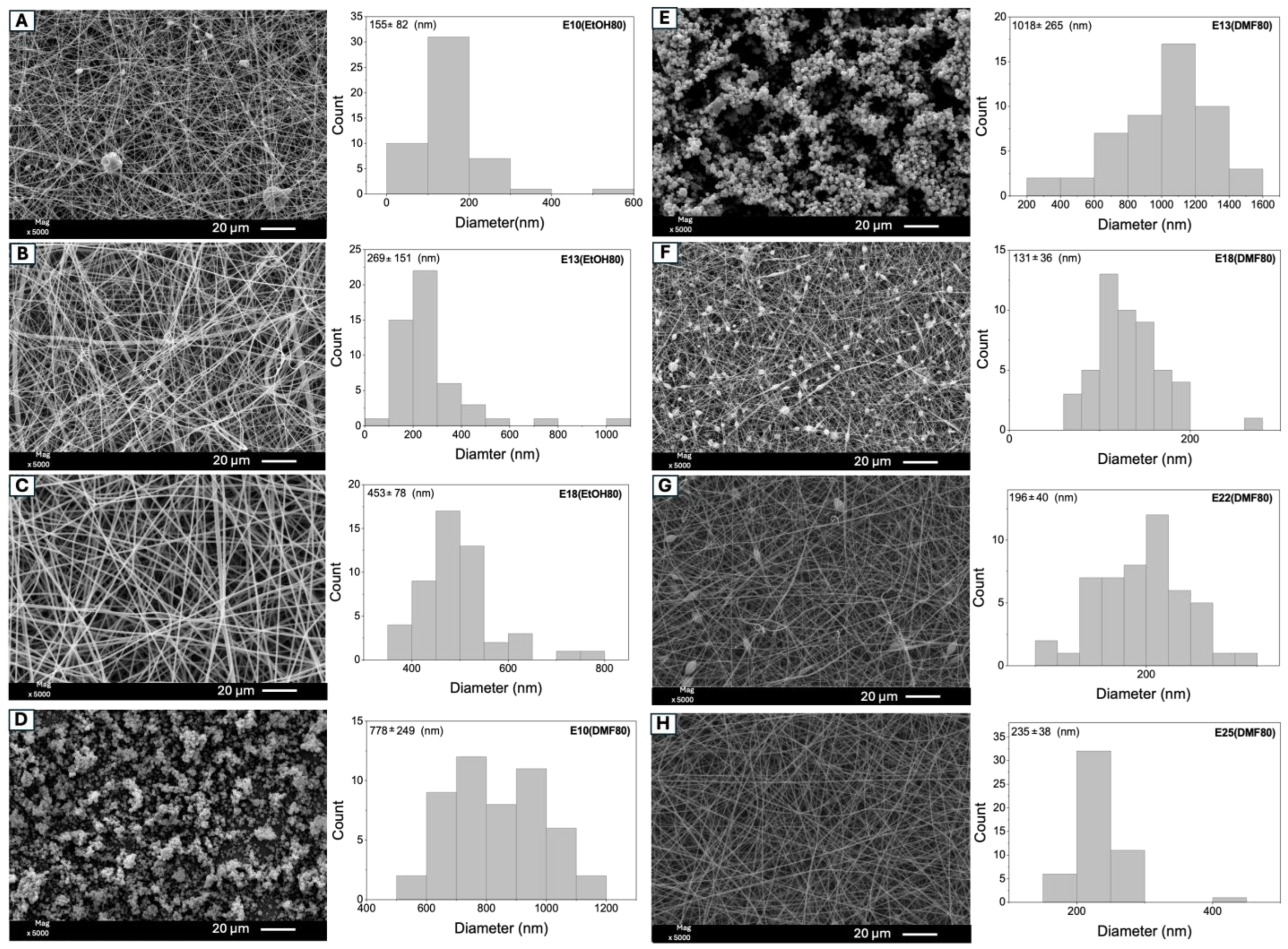 Molecules 29 02835 g001