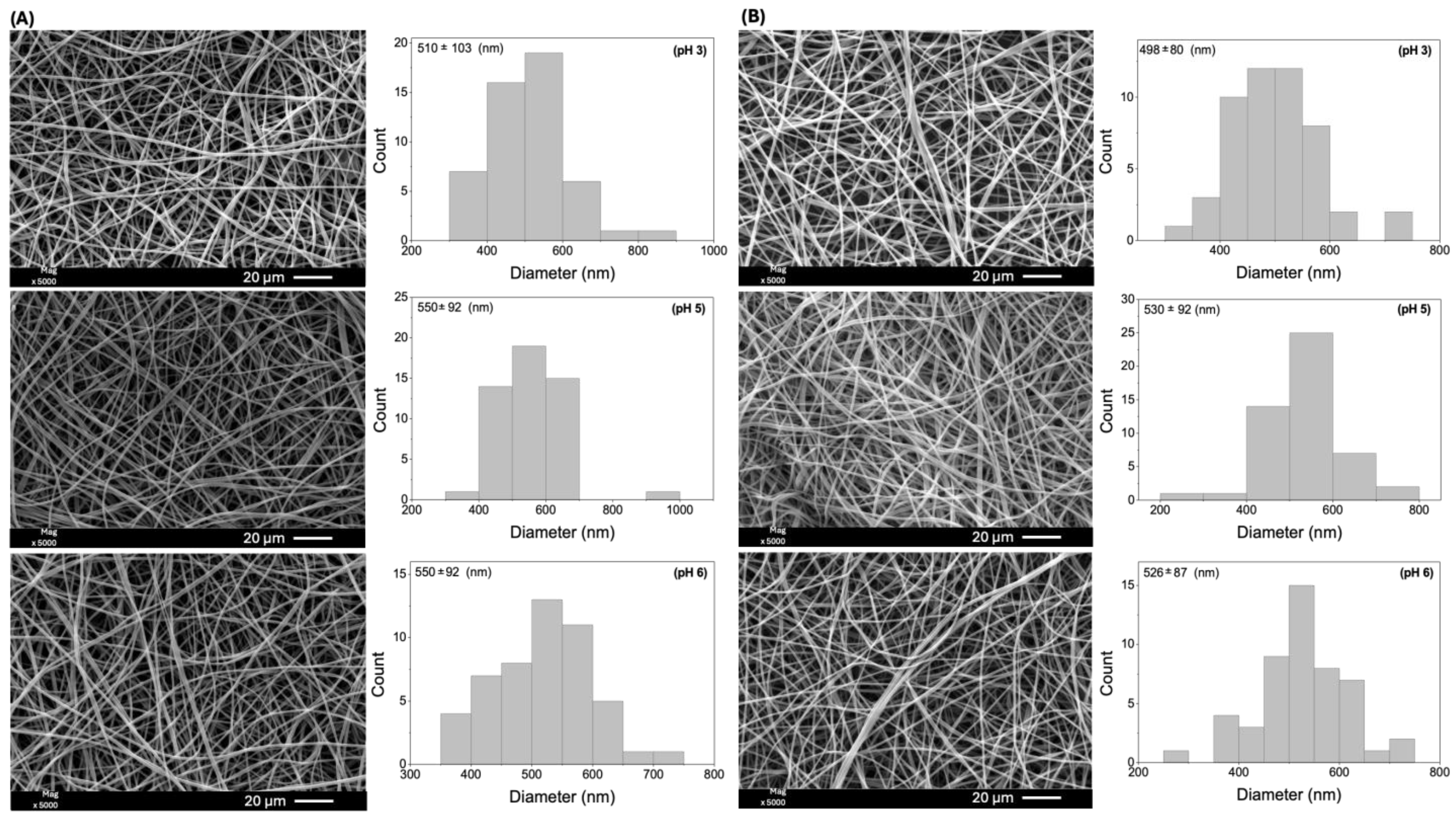 Molecules 29 02835 g002