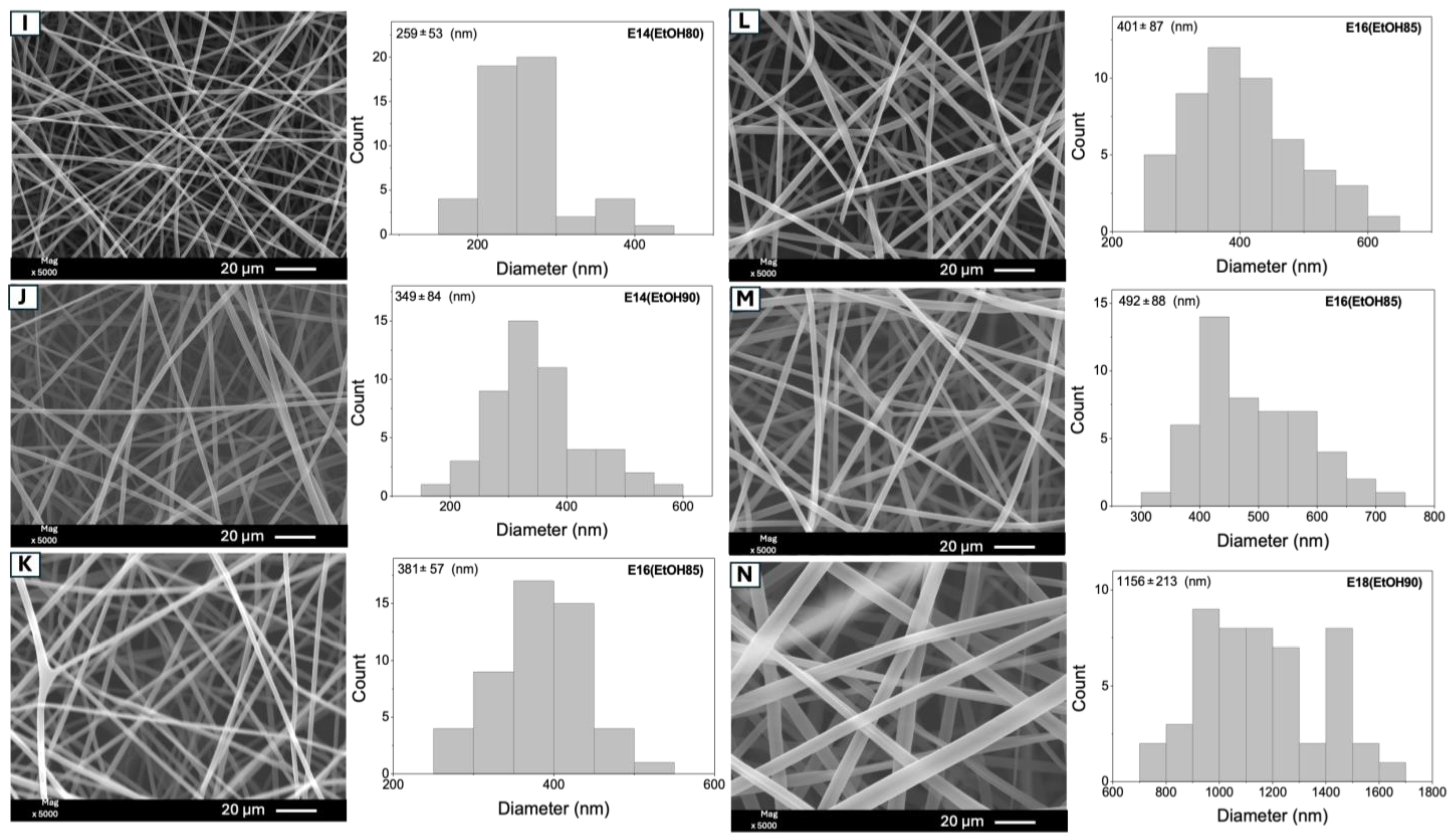 Molecules 29 02835 g005