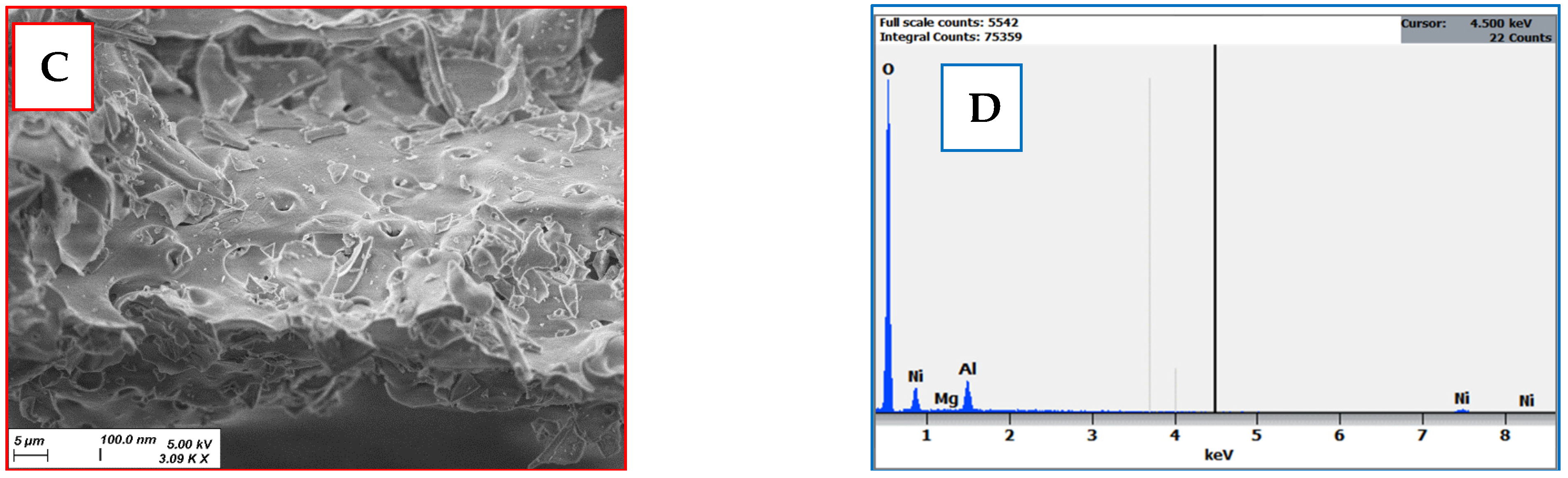 Molecules 29 02837 g001b