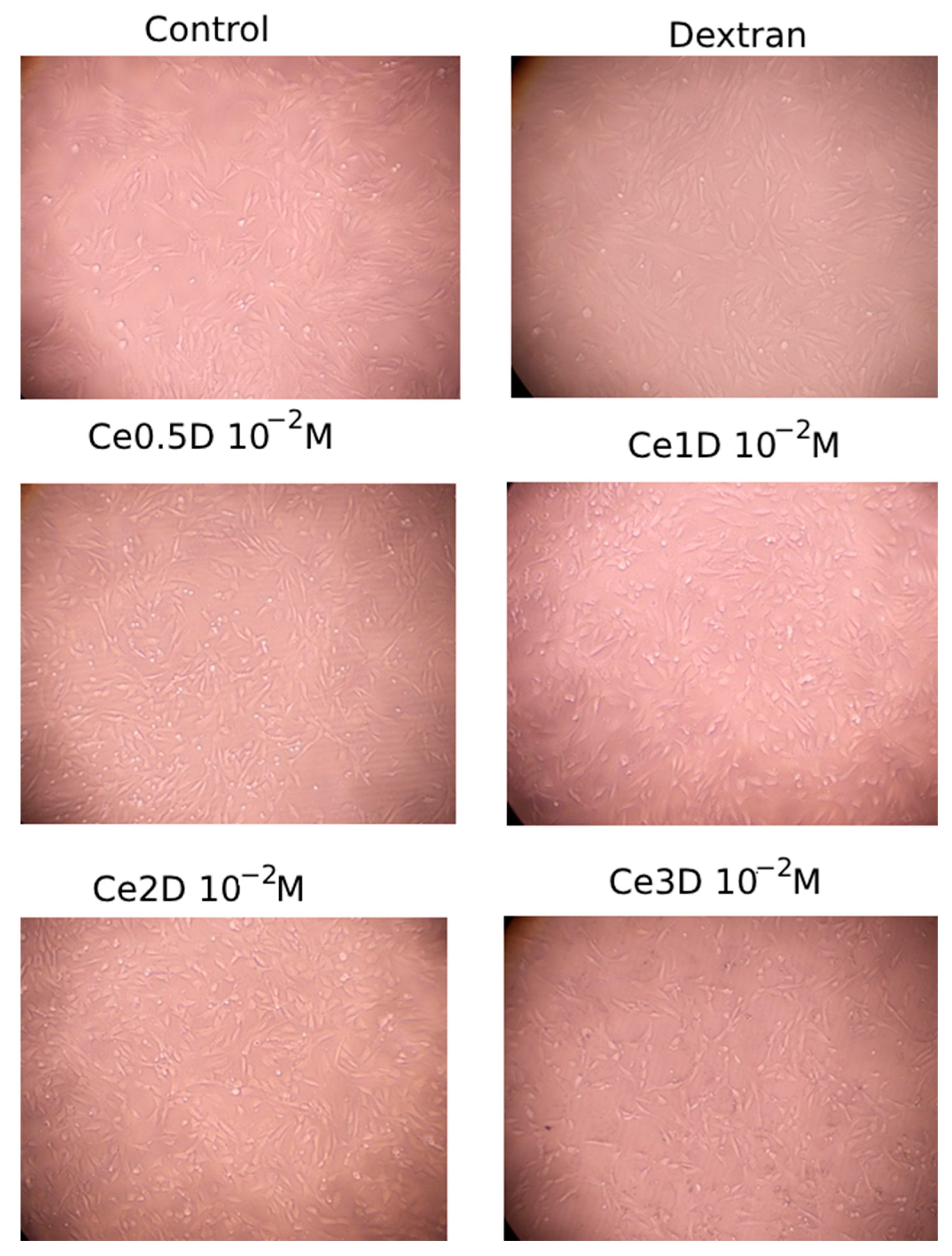 Molecules 29 02853 g010