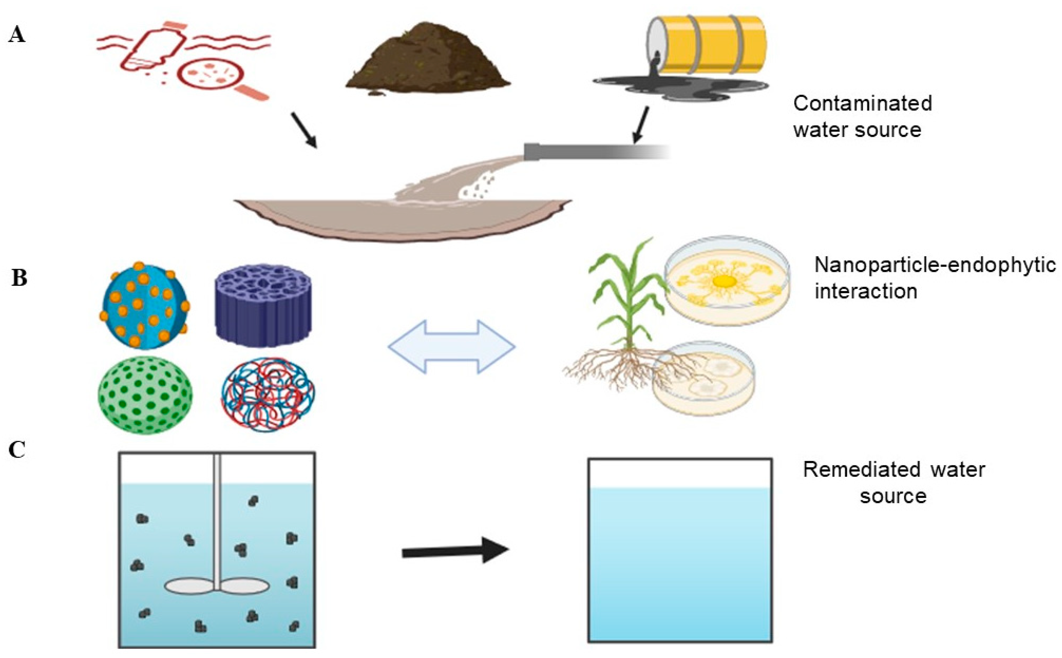 Molecules 29 02858 g001 Molecules 29 02858 g001