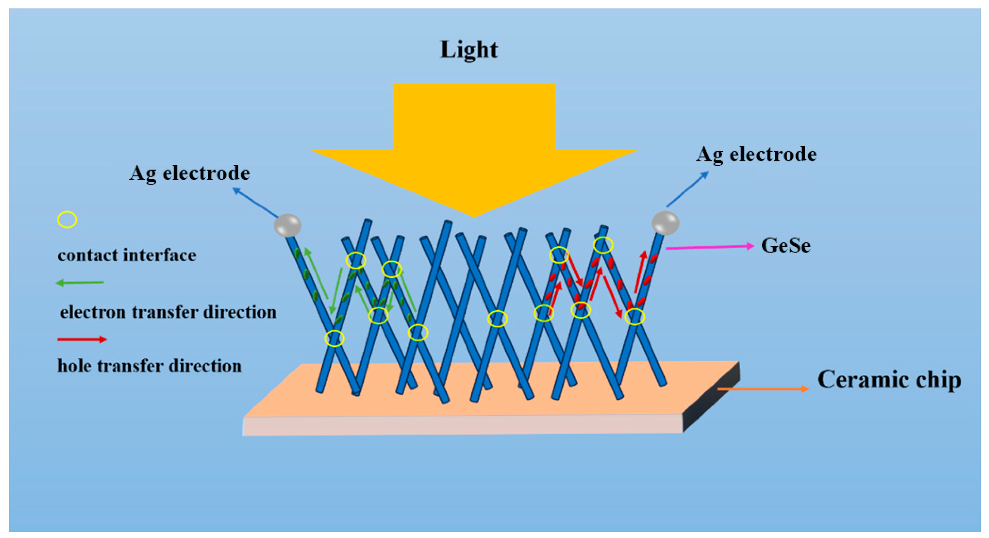 Molecules 29 02860 g009
