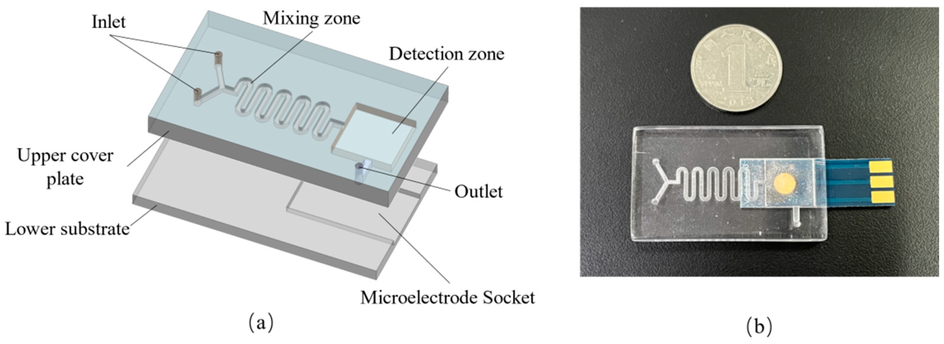 Molecules 29 02867 g006