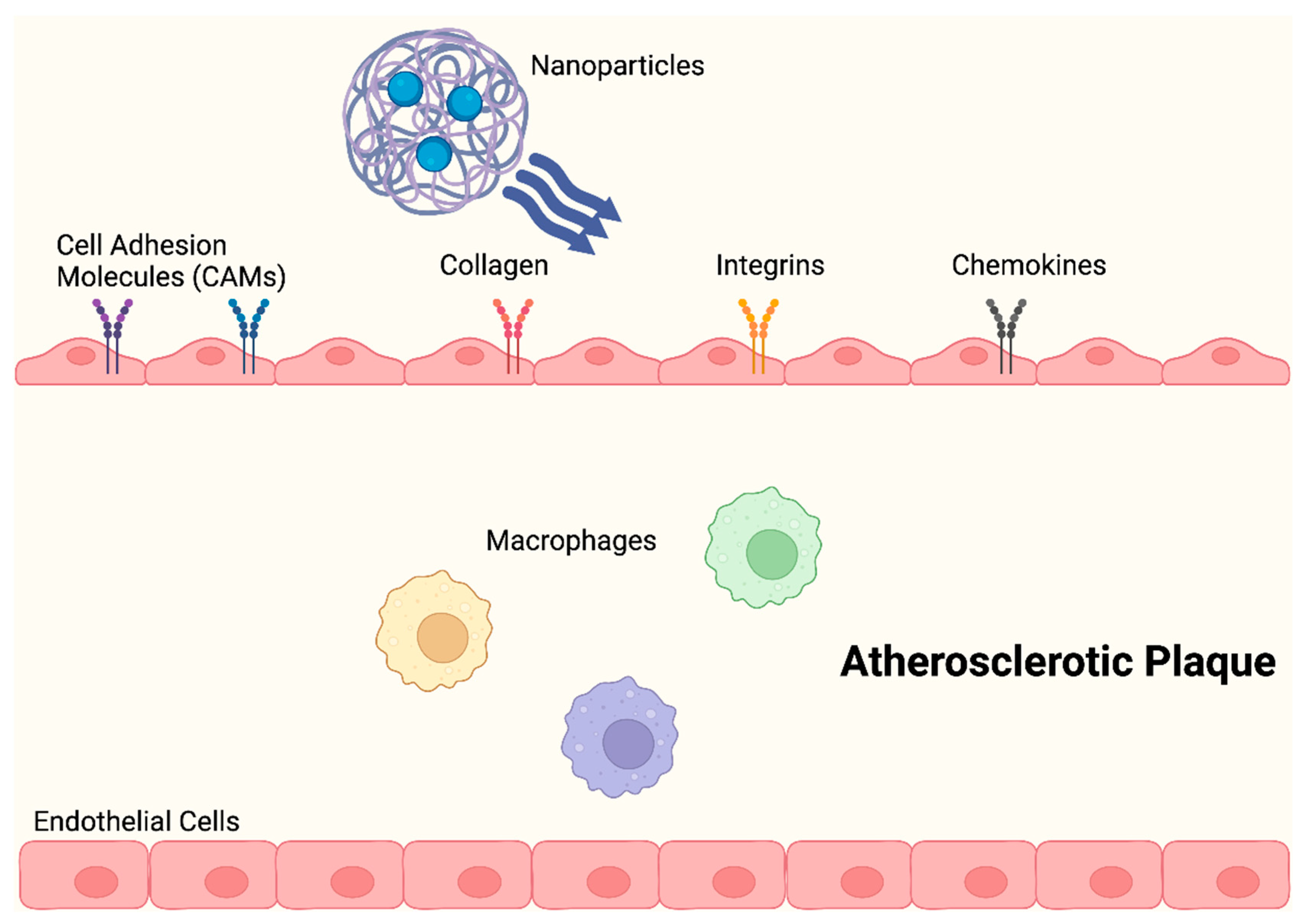 Molecules 29 02873 g004 Molecules 29 02873 g004