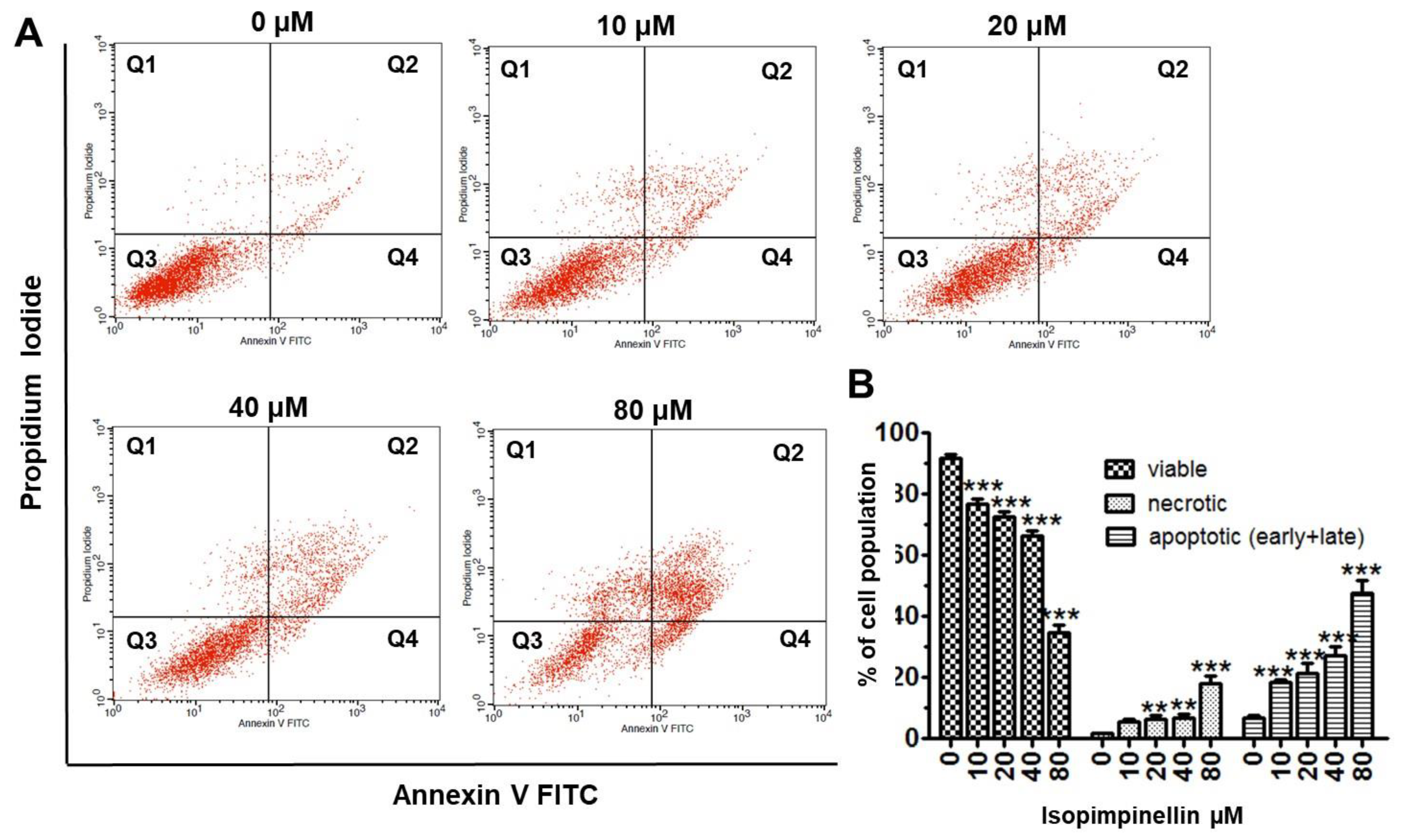 Molecules 29 02874 g010