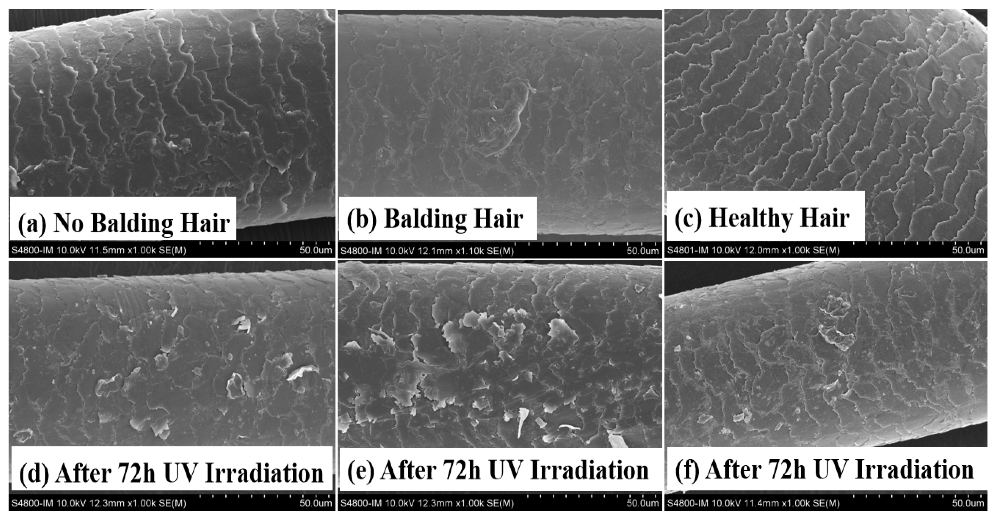 Molecules 29 02876 g001