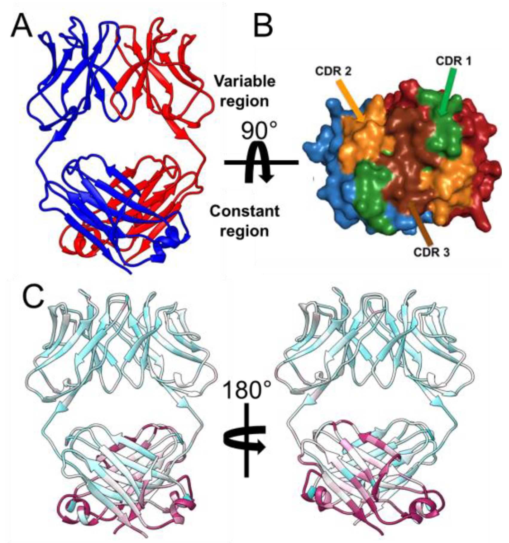 Molecules 29 02885 g001