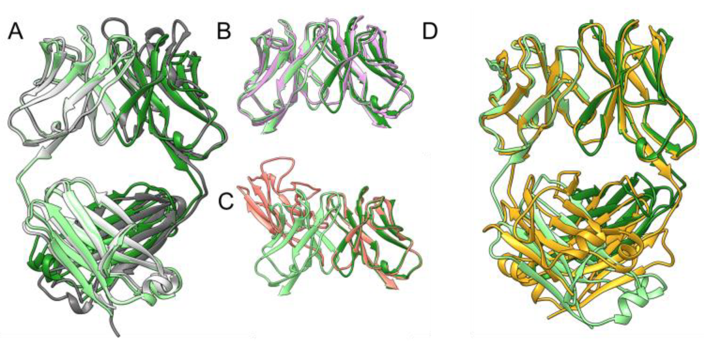 Molecules 29 02885 g003