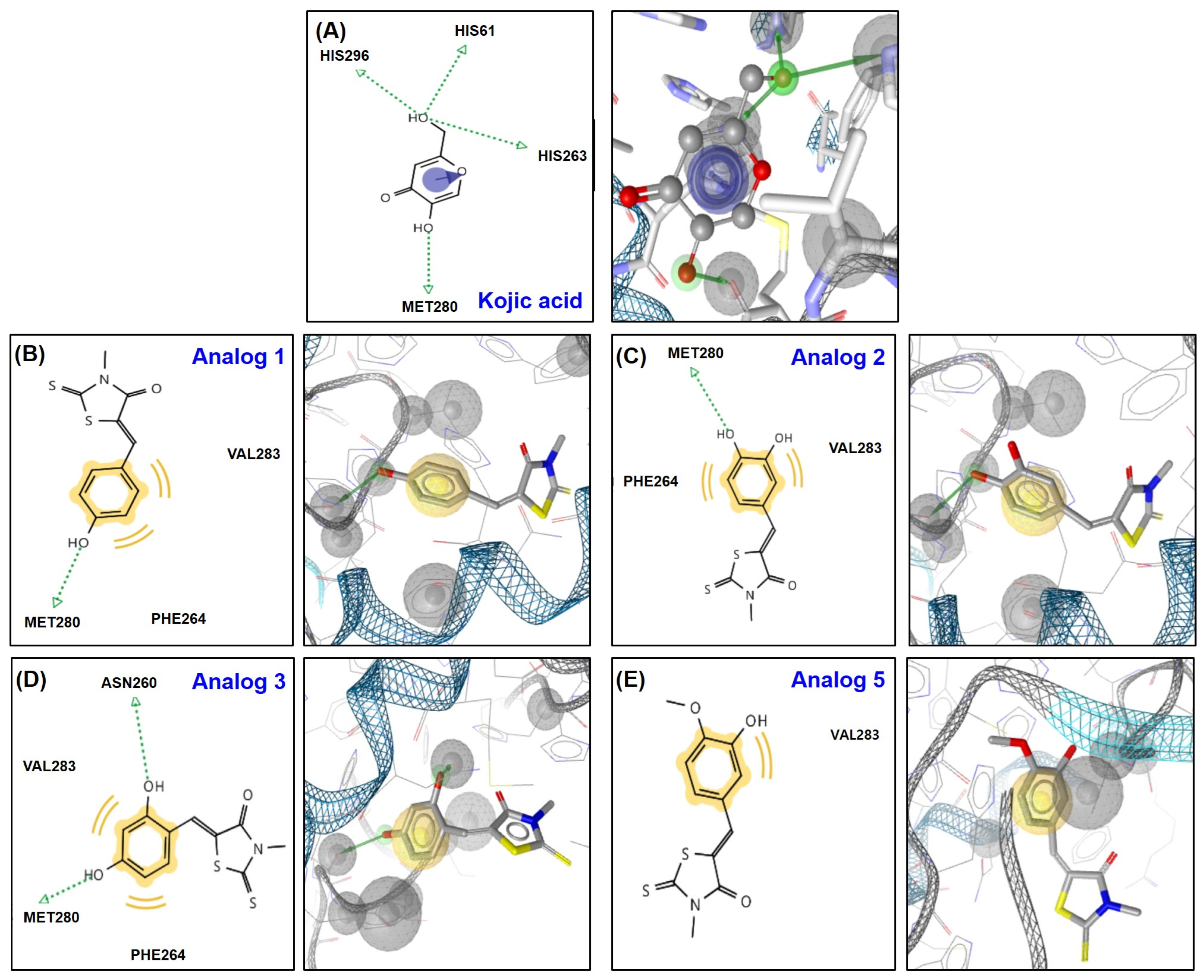 Molecules 29 02887 g004