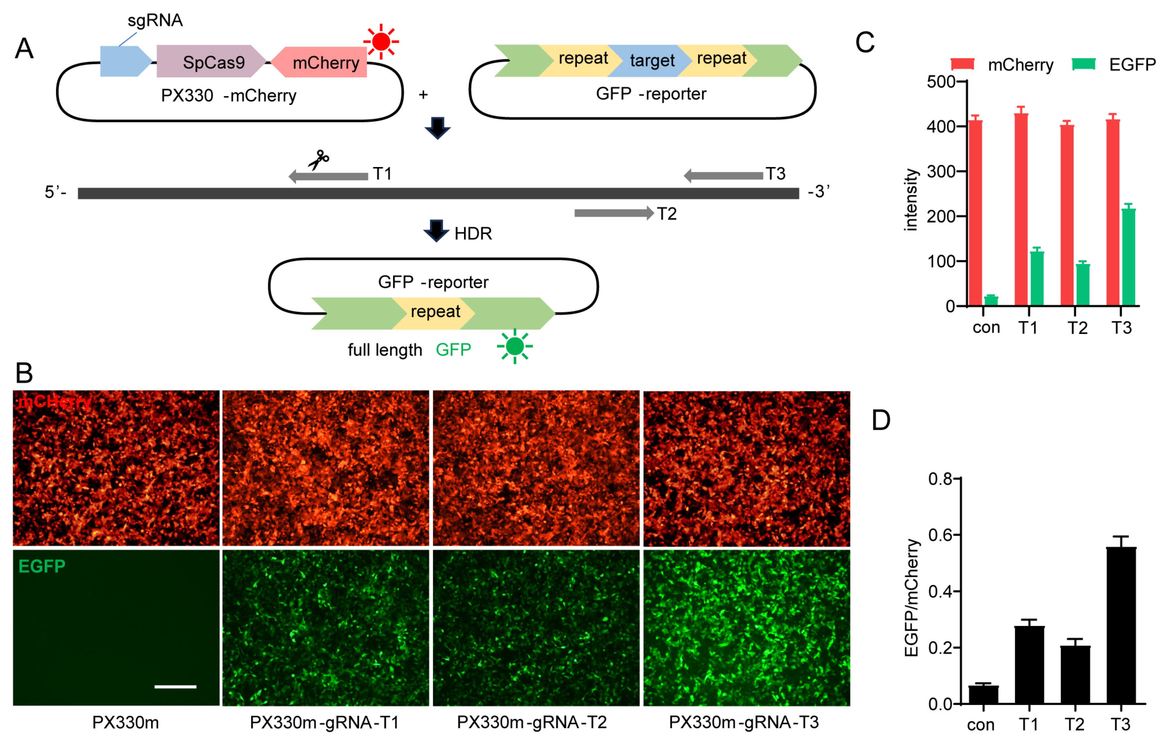 Molecules 29 02890 g001