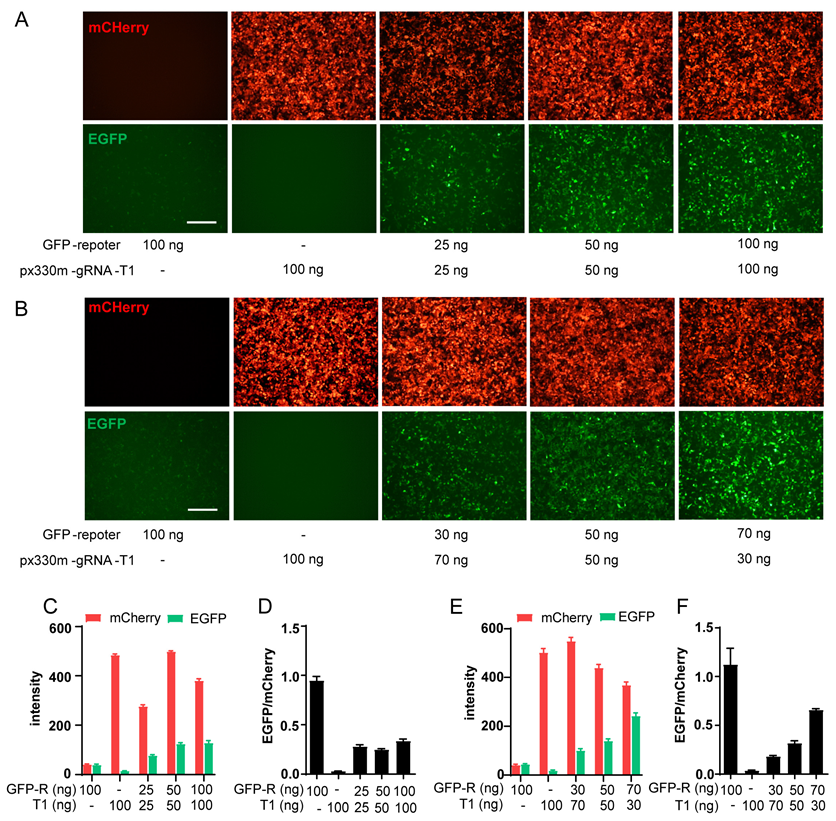 Molecules 29 02890 g002