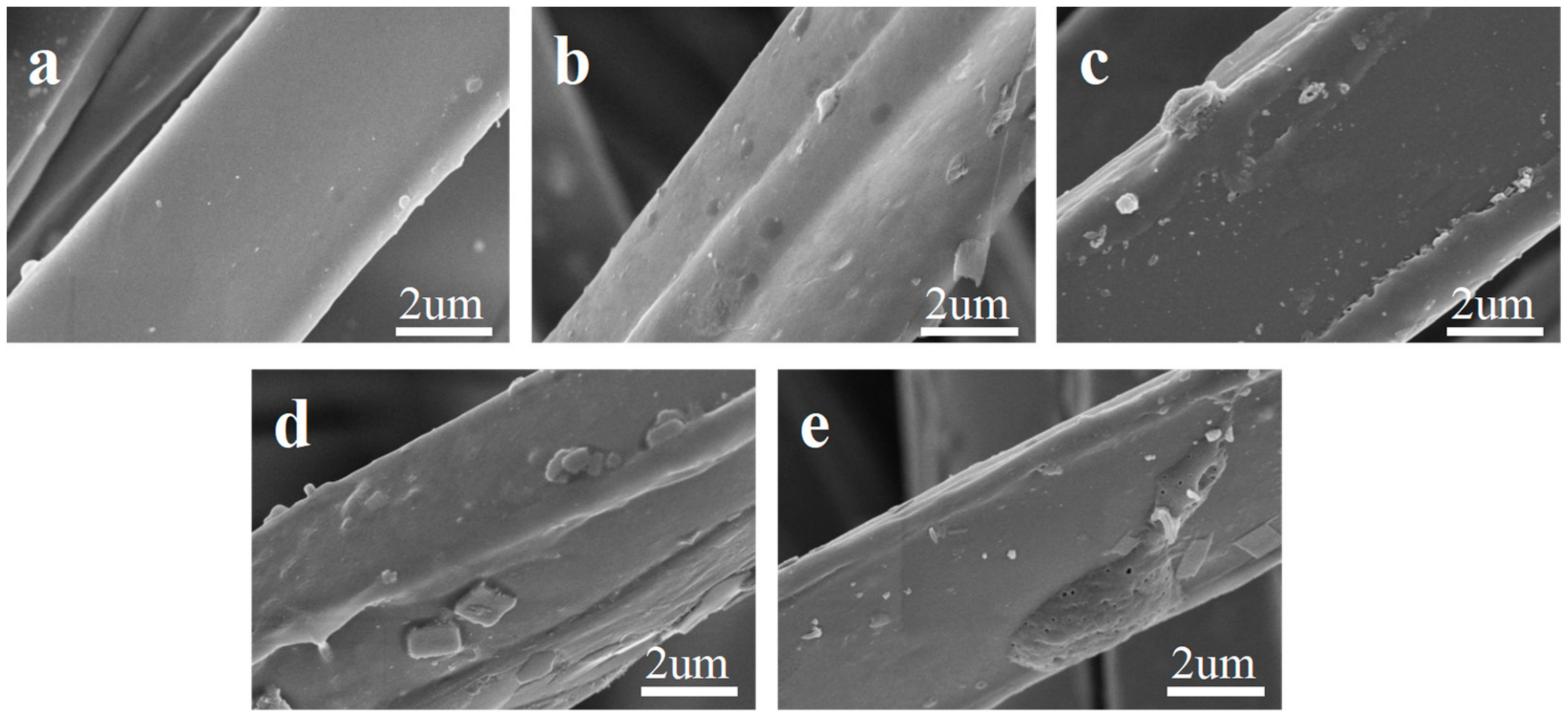 Molecules 29 02891 g002