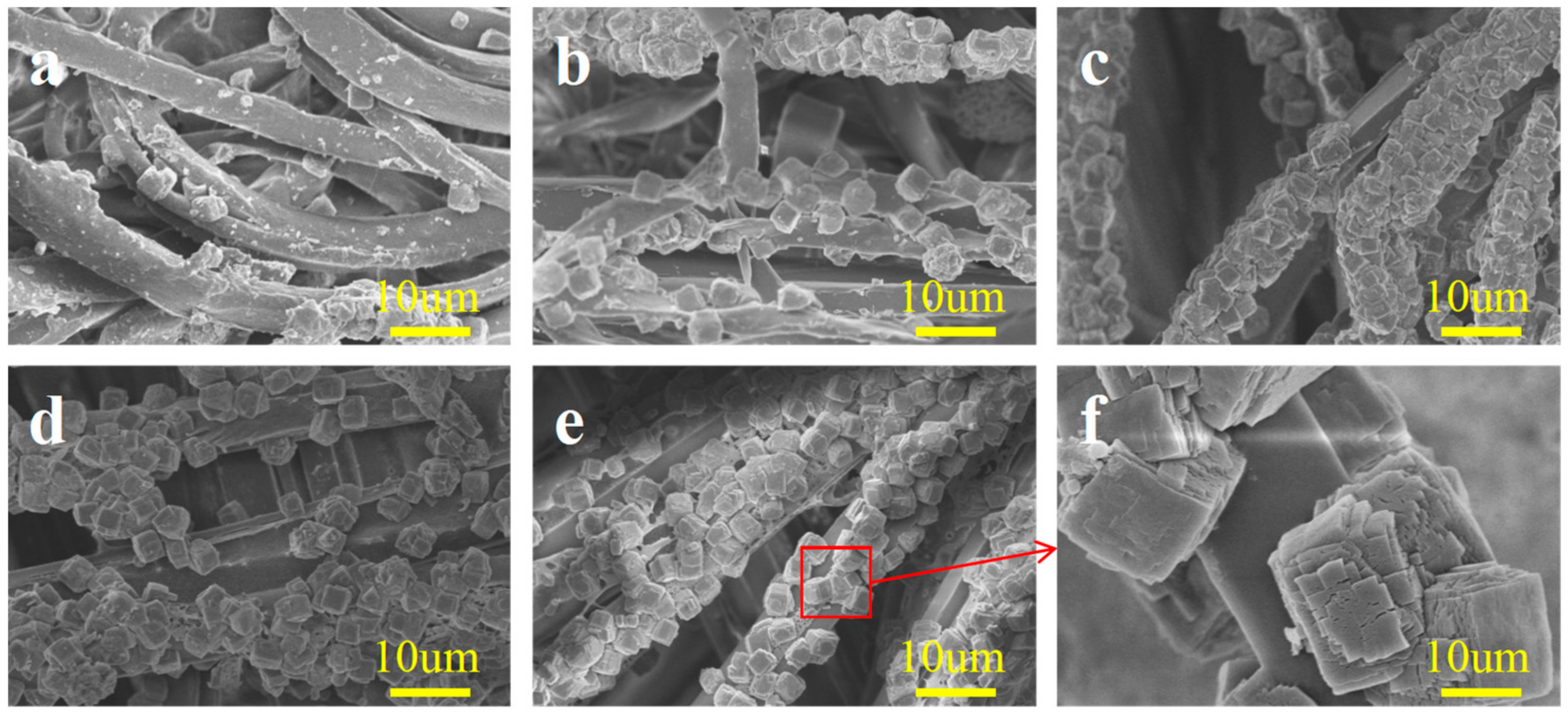 Molecules 29 02891 g003