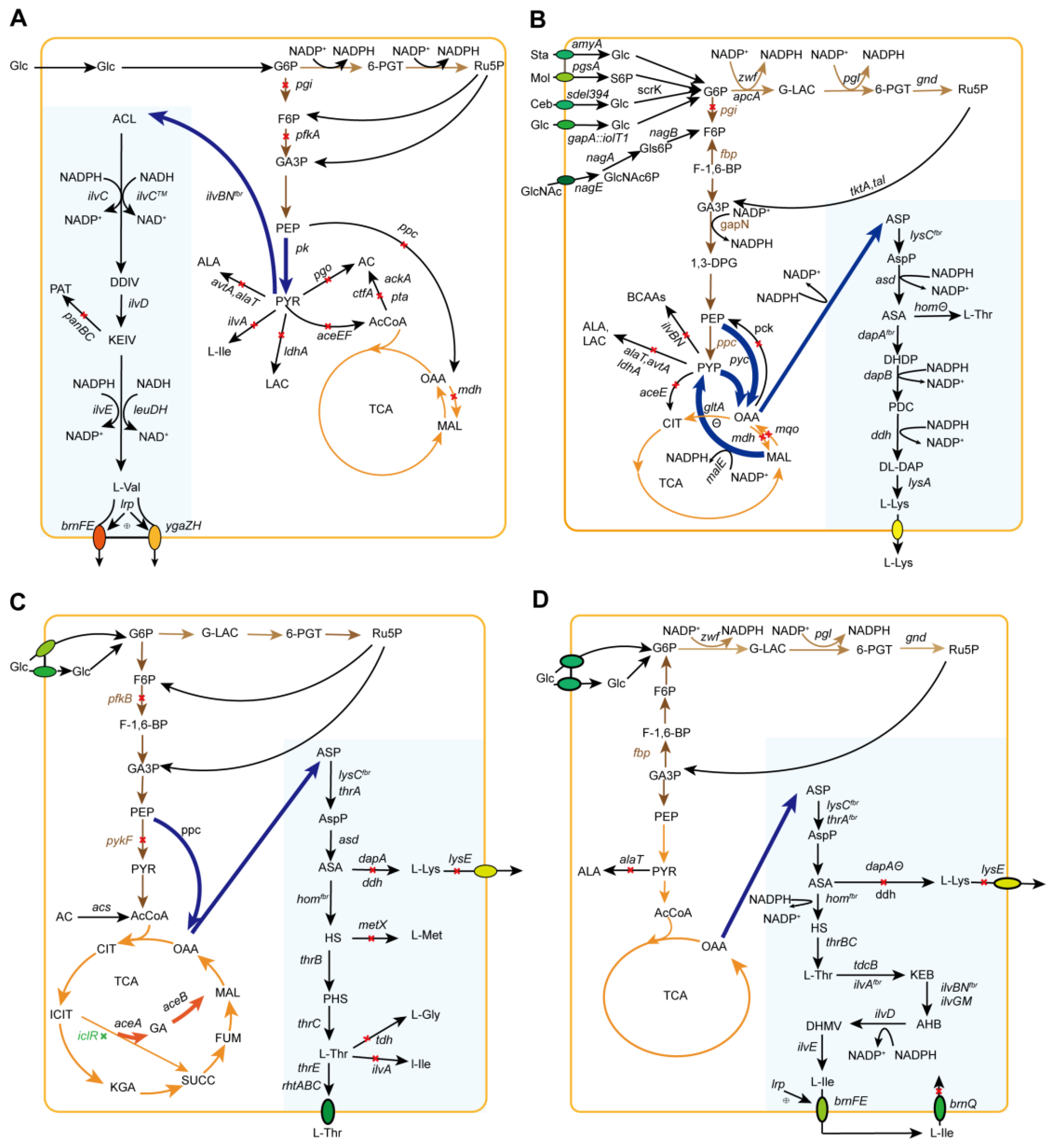 Molecules 29 02893 g003 Molecules 29 02893 g003