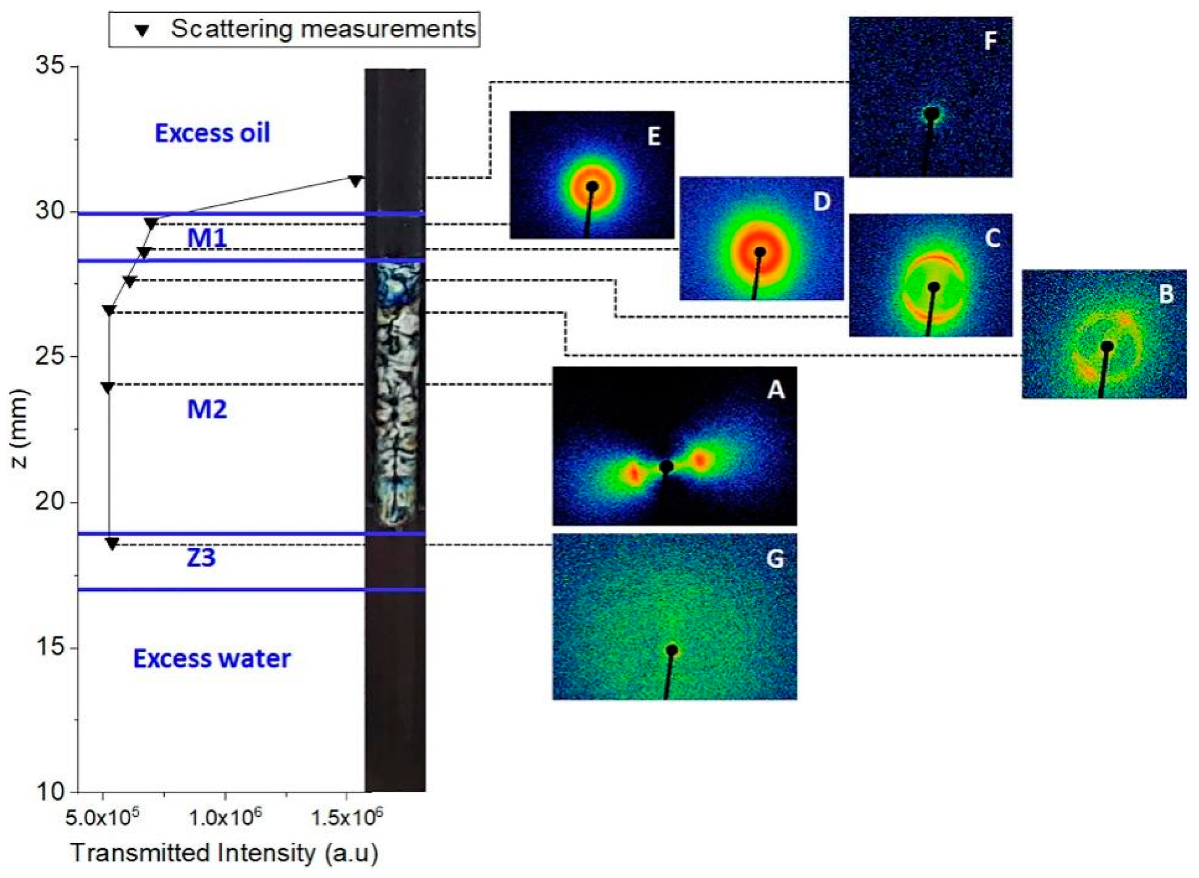 Molecules 29 02901 g006