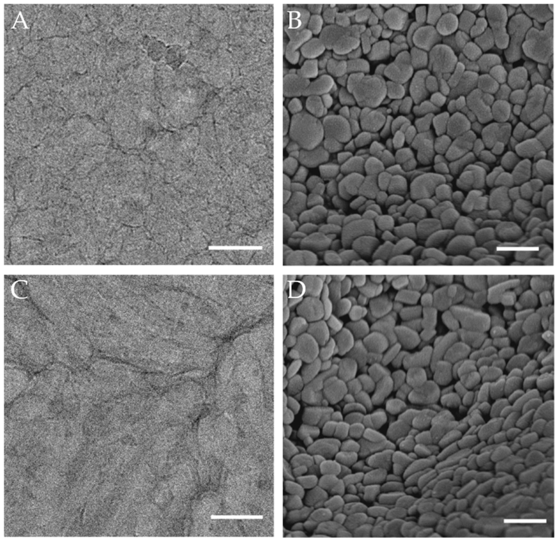 Molecules 29 02901 g009