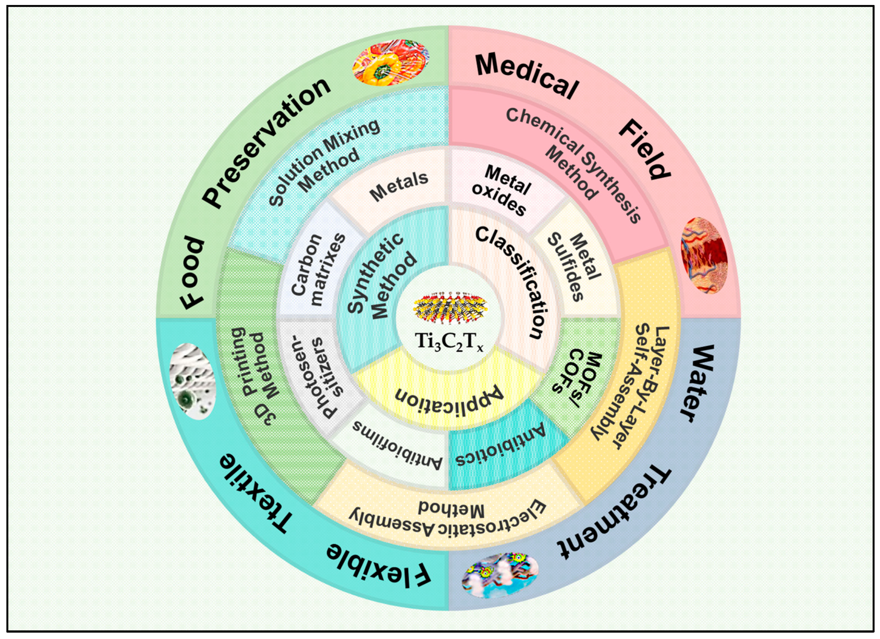 Molecules 29 02902 g001