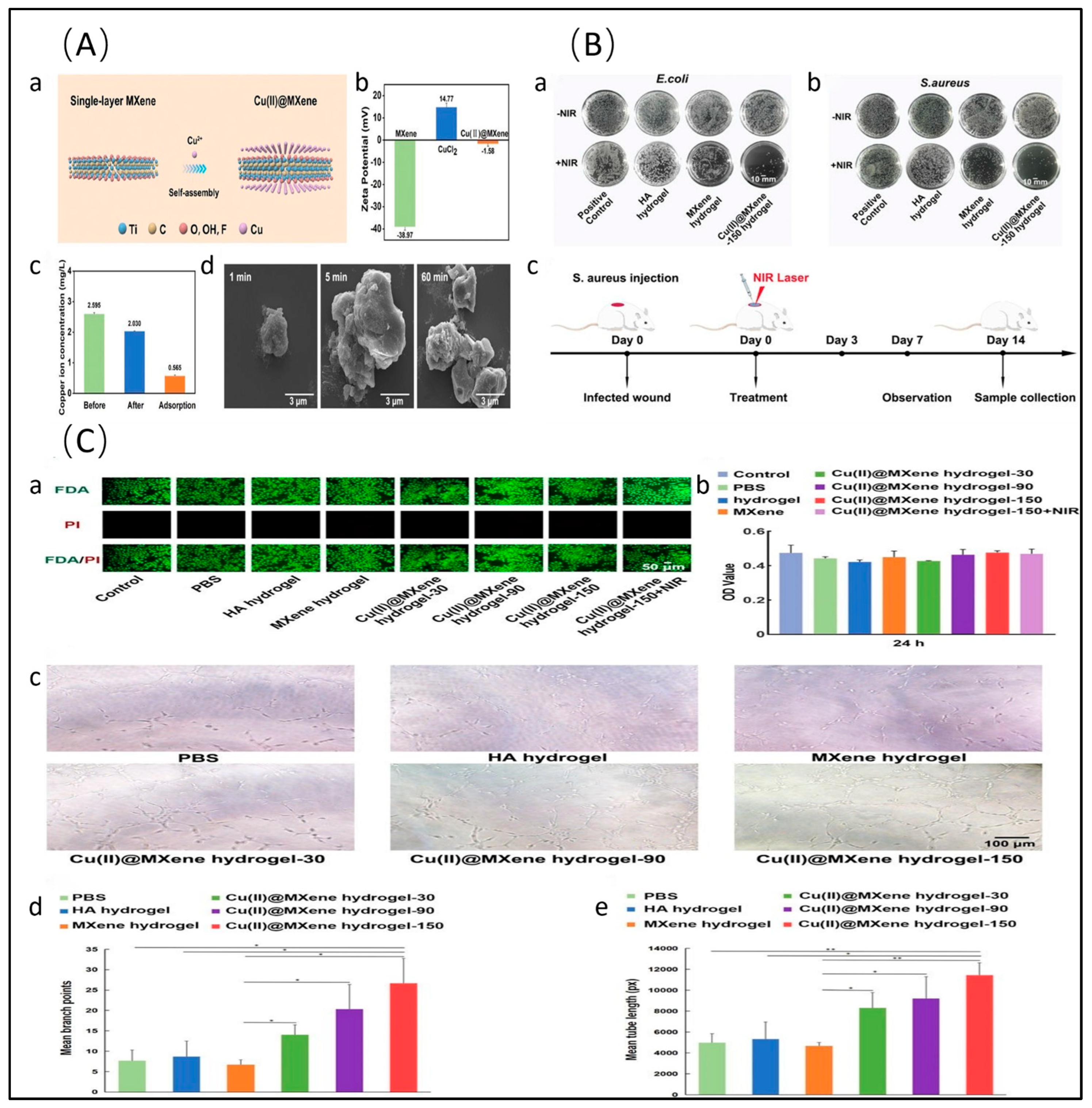 Molecules 29 02902 g002