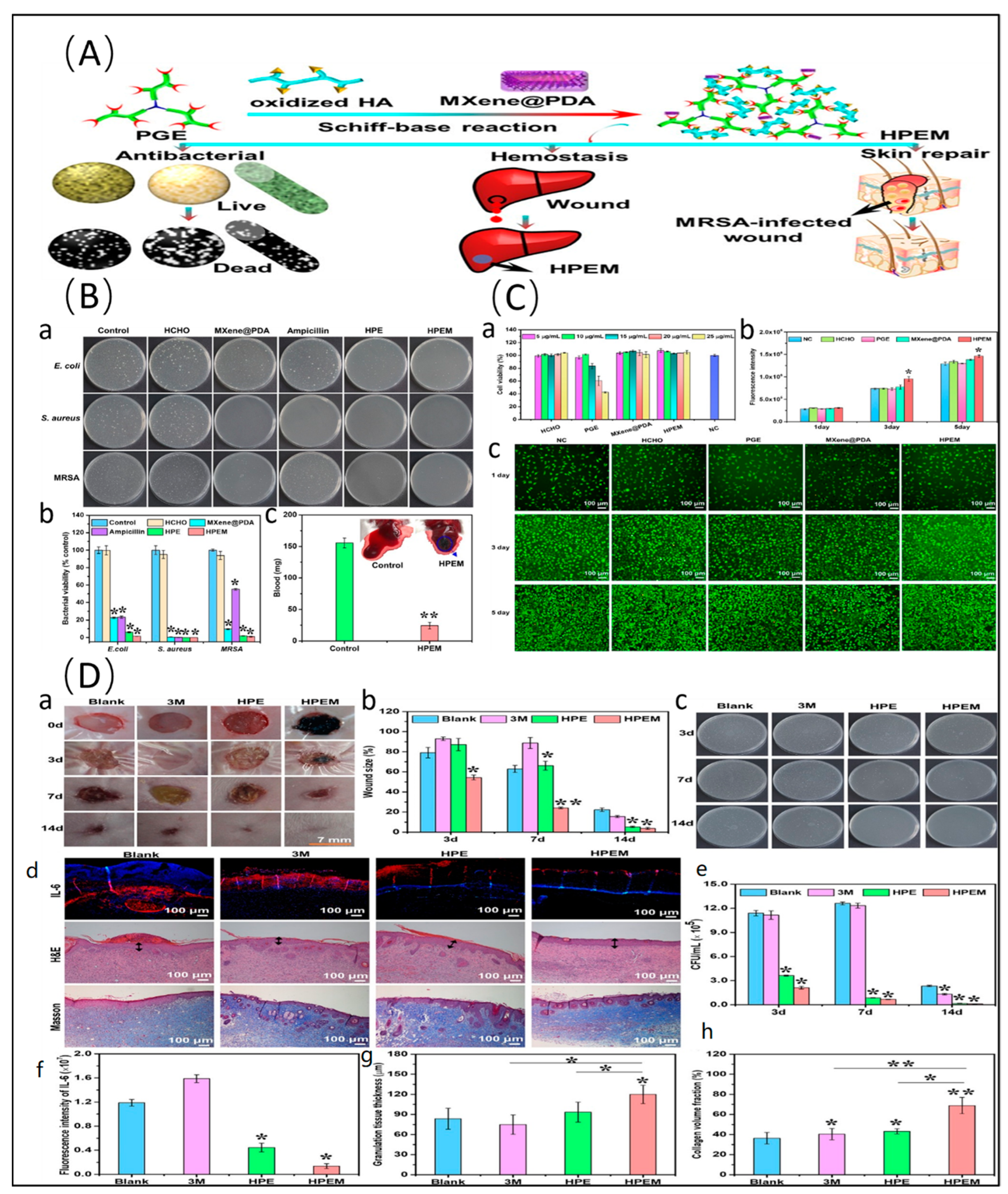 Molecules 29 02902 g005