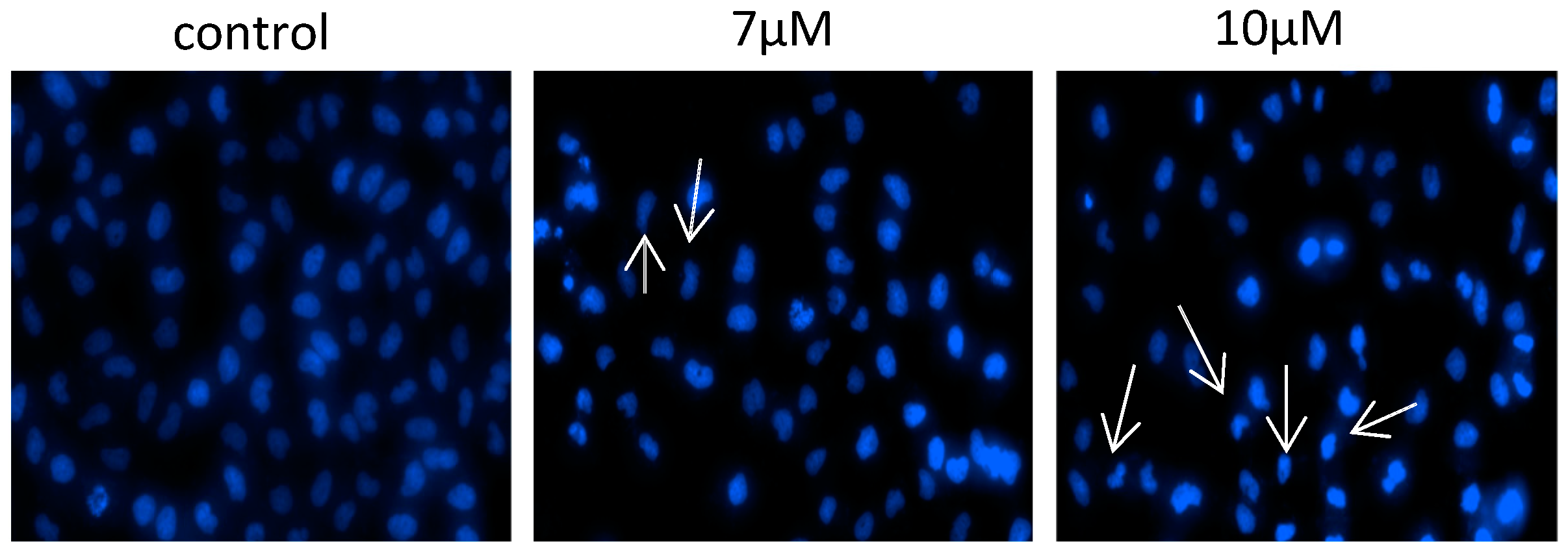 Molecules 29 02909 g005