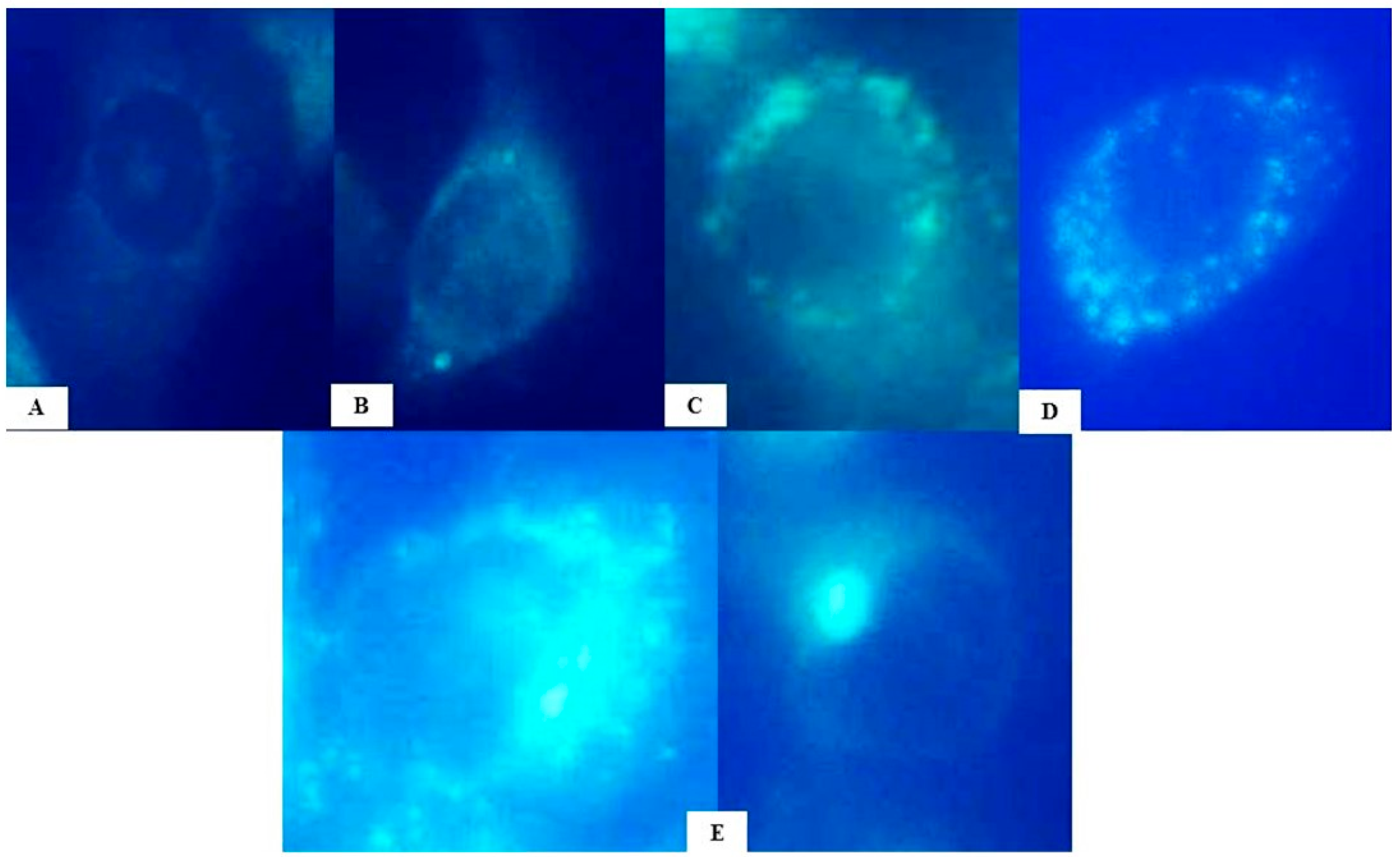 Molecules 29 02919 g008