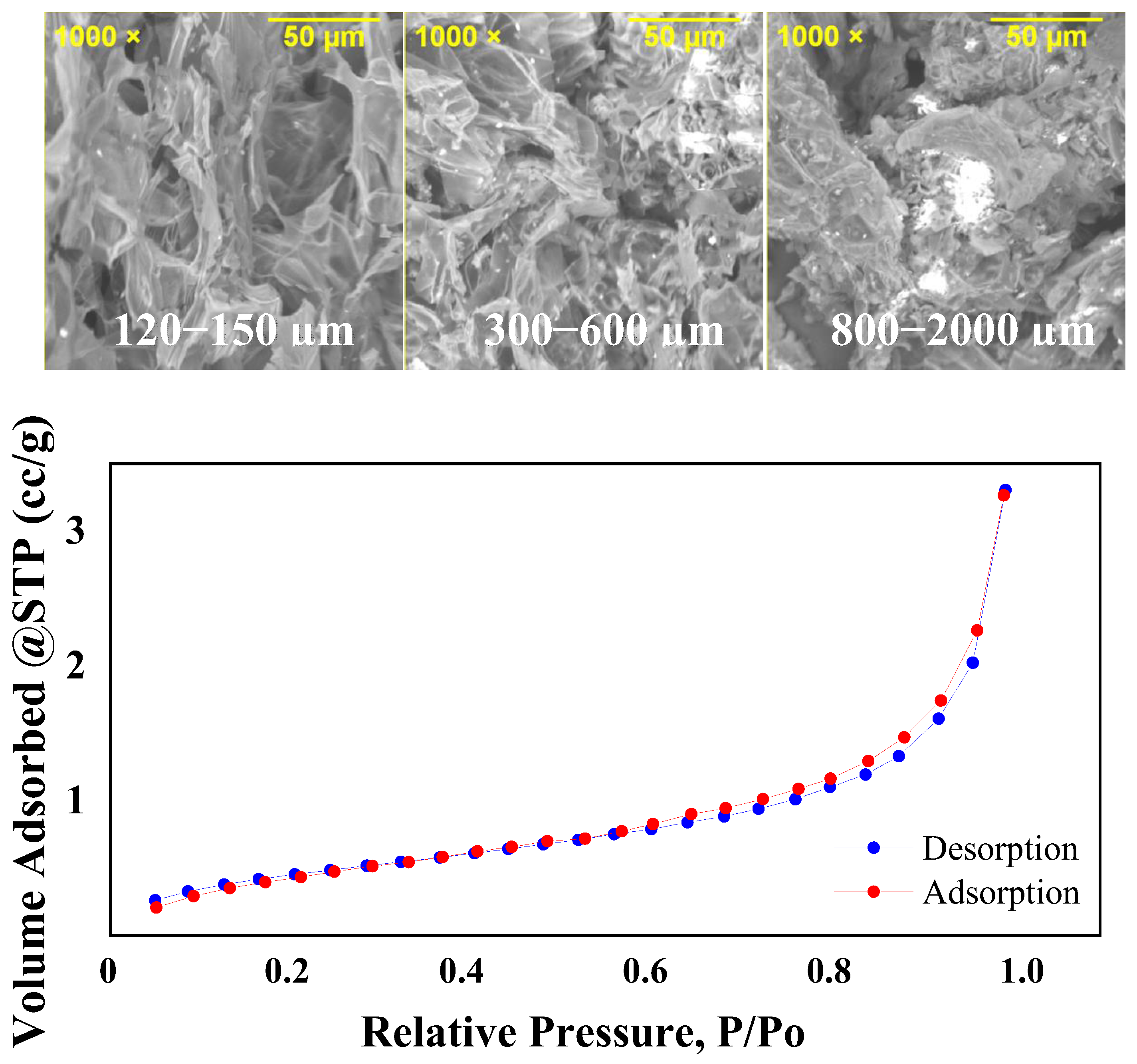 Molecules 29 02923 g003