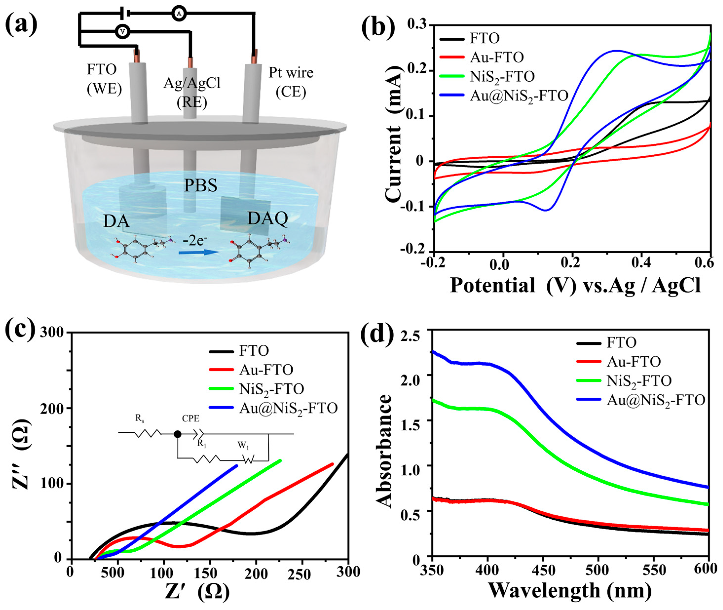 Molecules 29 02925 g001