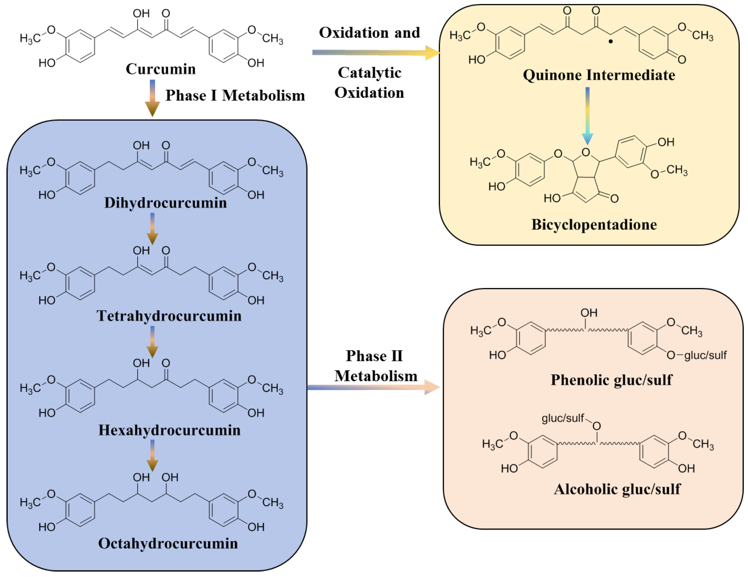 Molecules 29 02934 g002 Molecules 29 02934 g002
