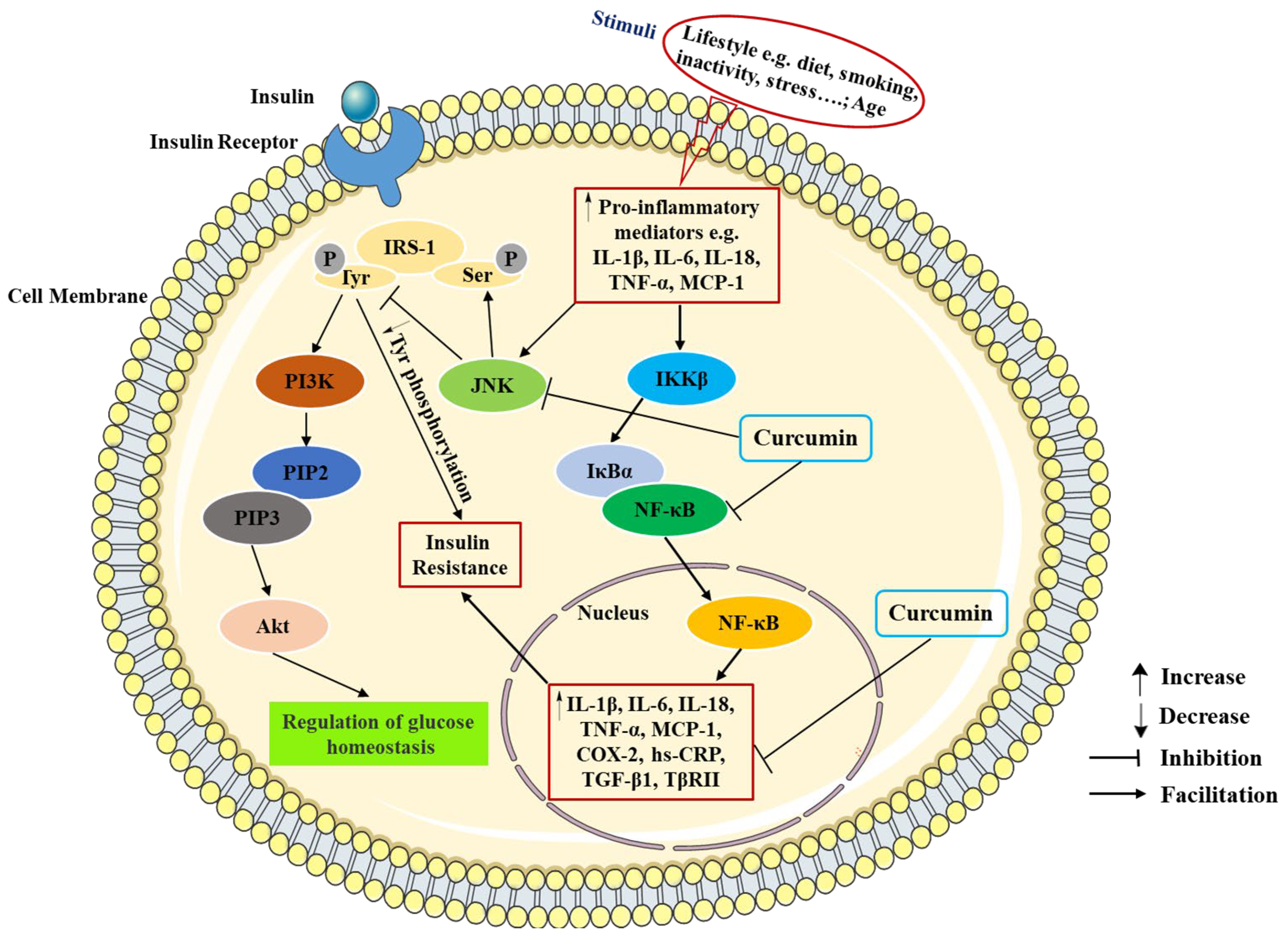 Molecules 29 02934 g003 Molecules 29 02934 g003