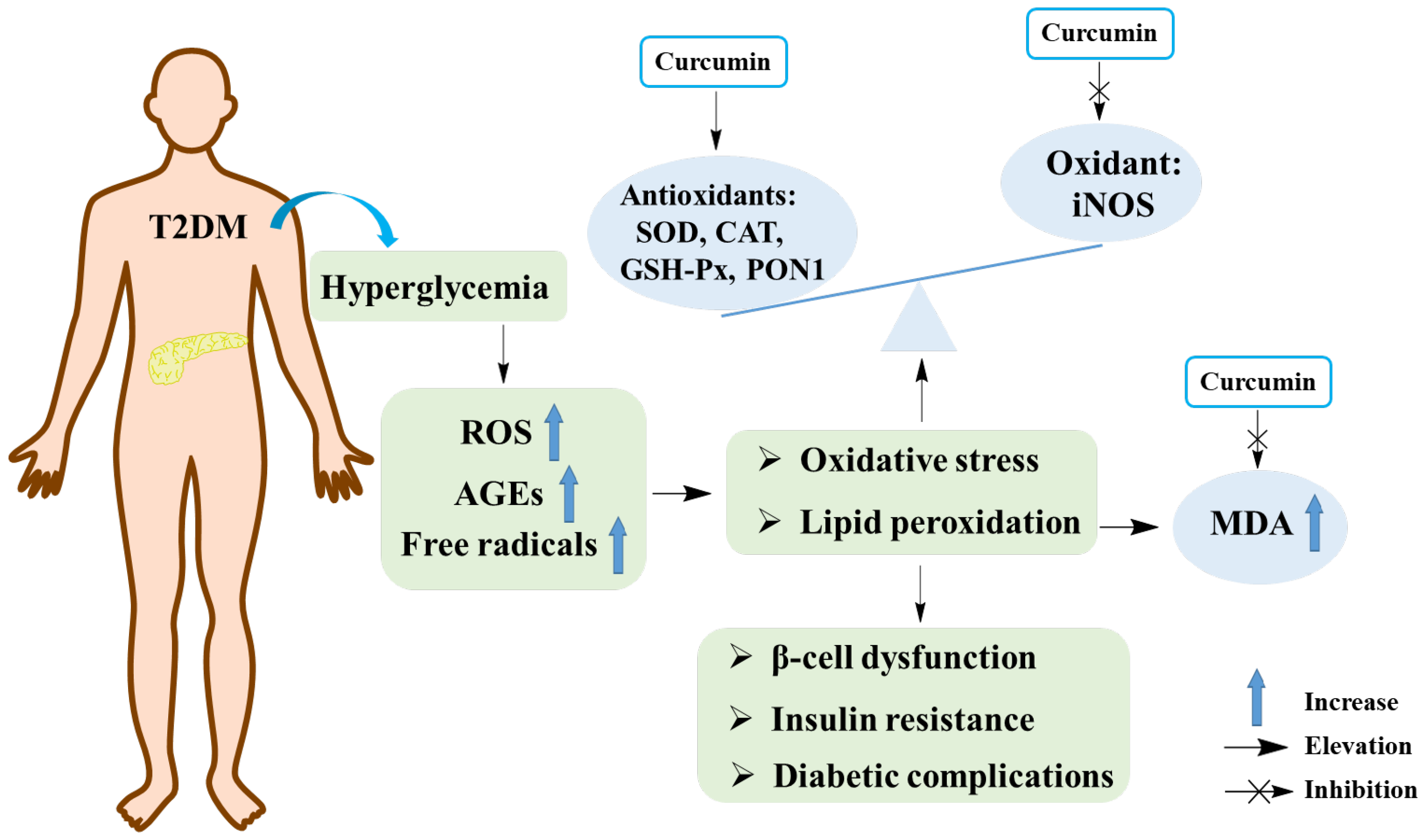 Molecules 29 02934 g004 Molecules 29 02934 g004