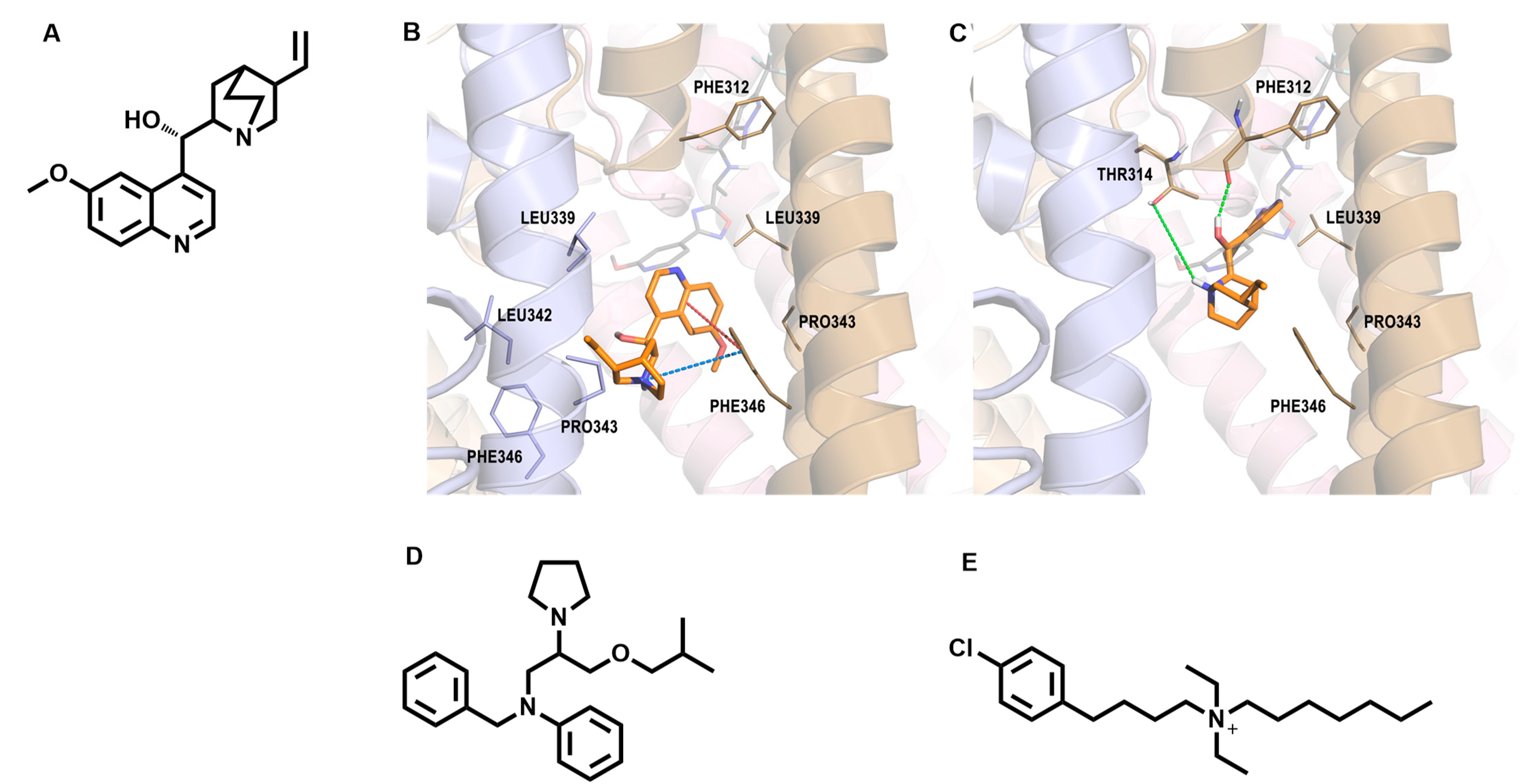 Molecules 29 02940 g004