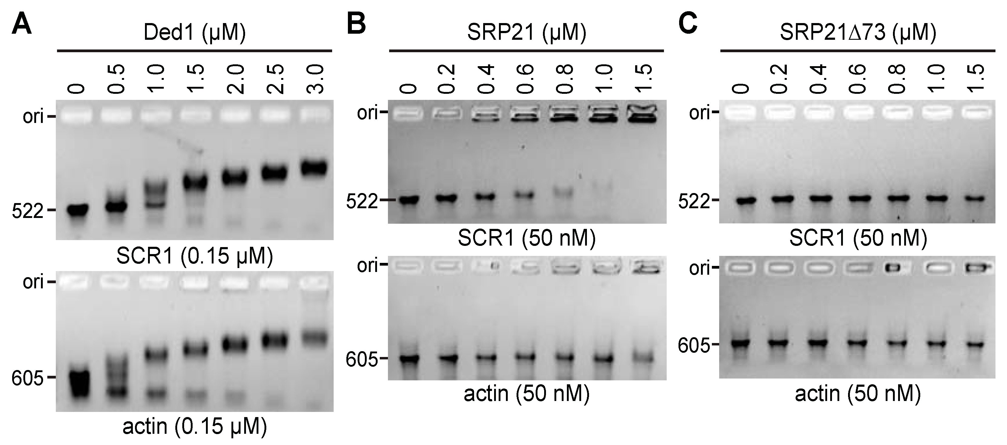 Molecules 29 02944 g009