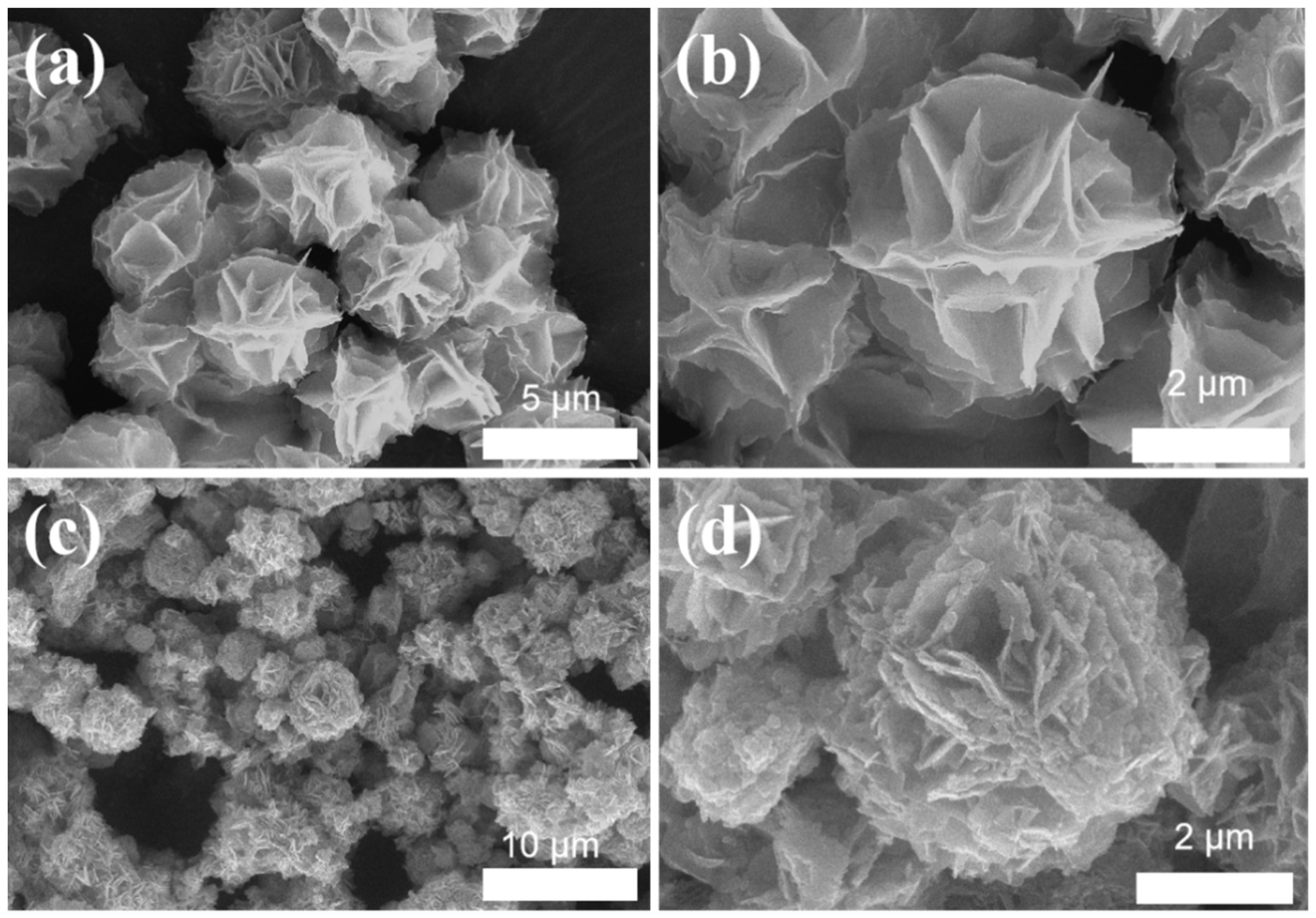 Molecules 29 02948 g001