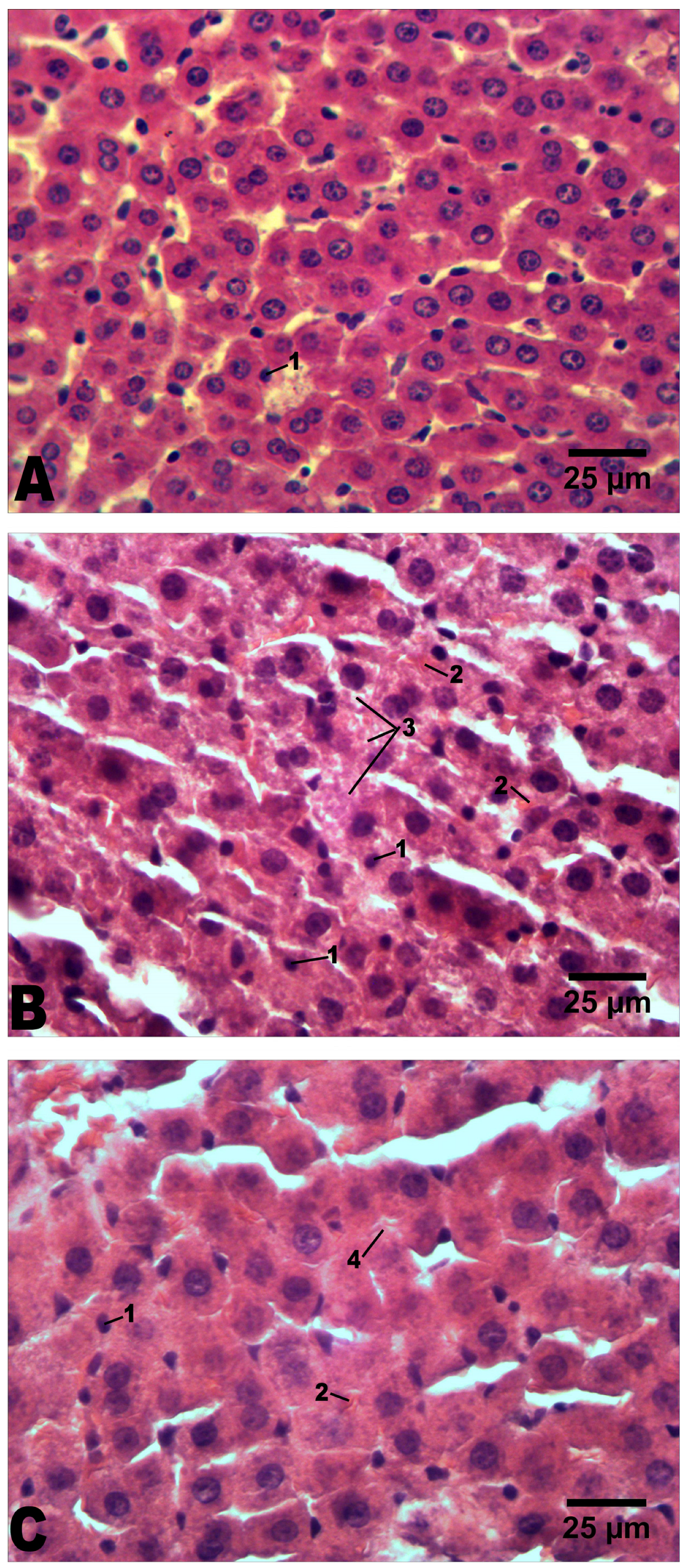 Molecules 29 02951 g005 Molecules 29 02951 g005