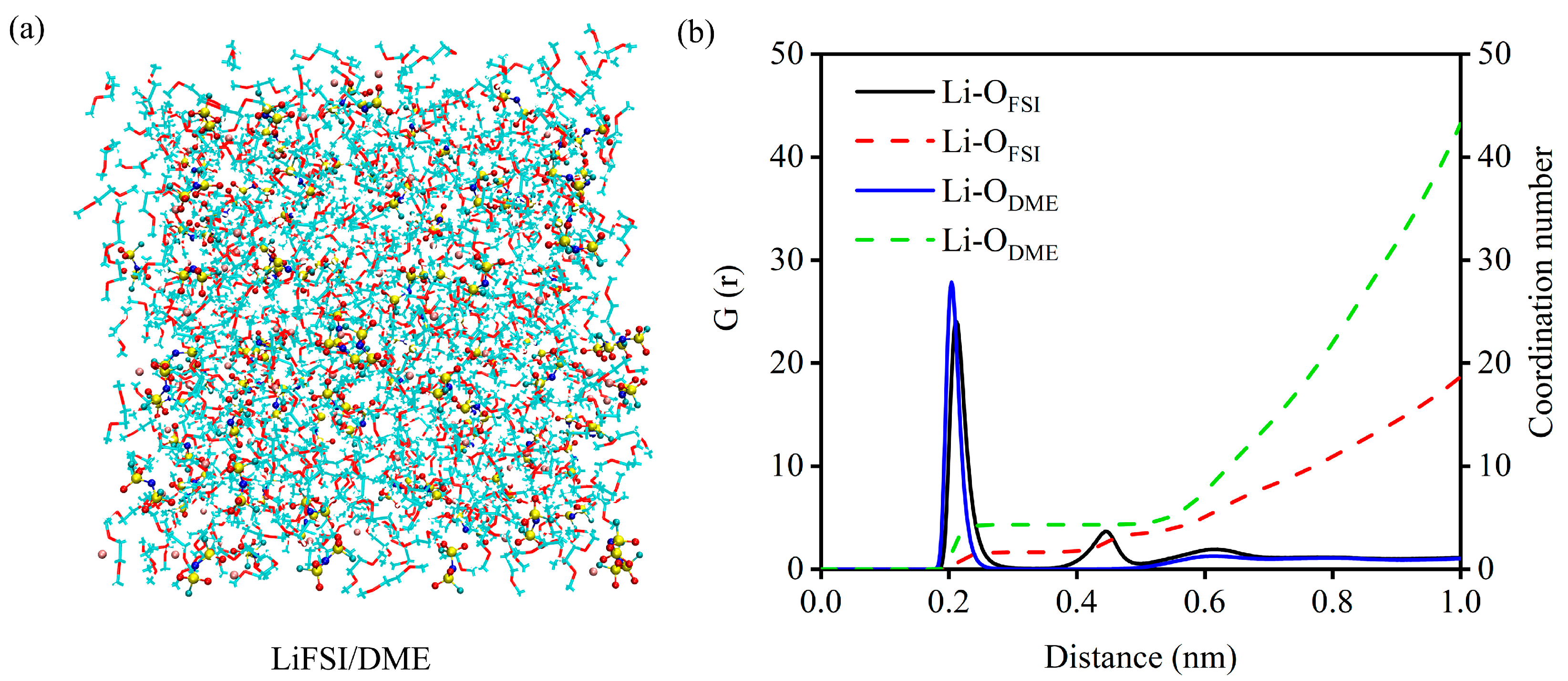 Molecules 29 02955 g005