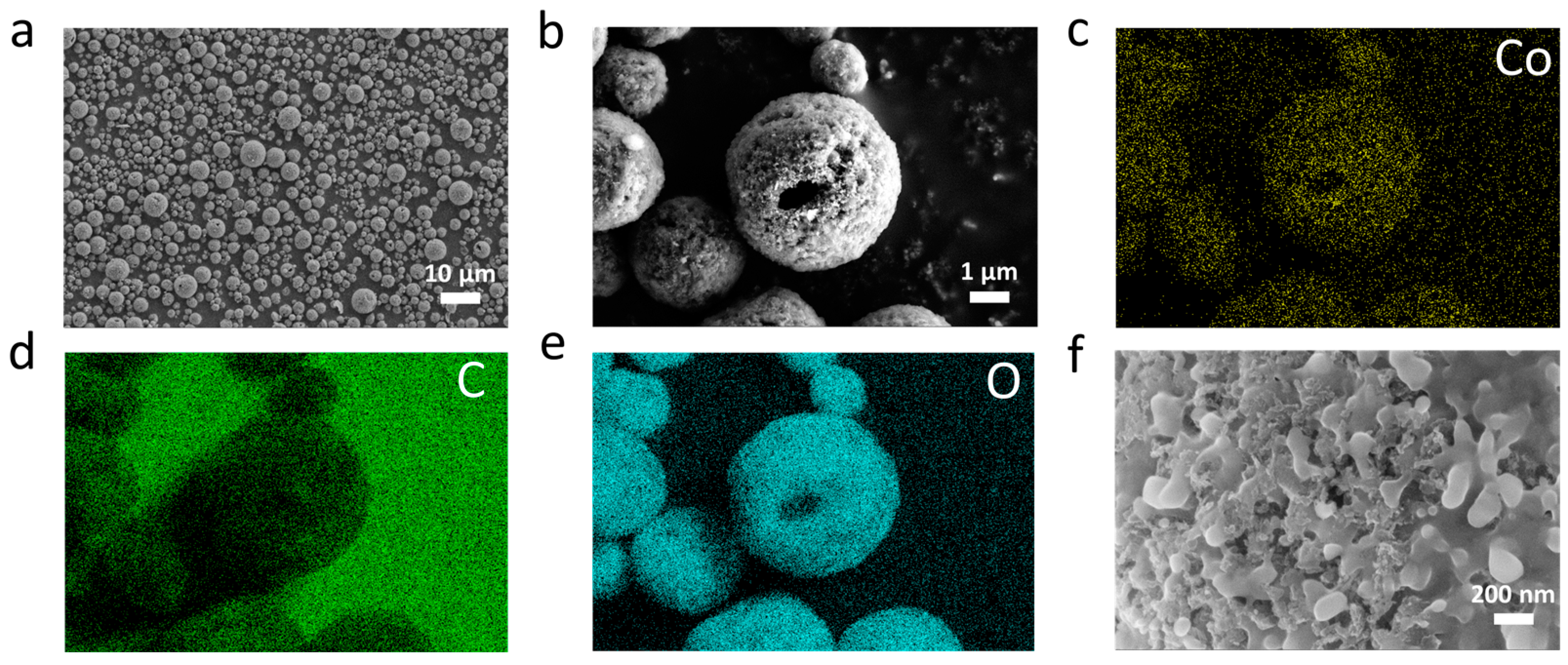 Molecules 29 02975 g002