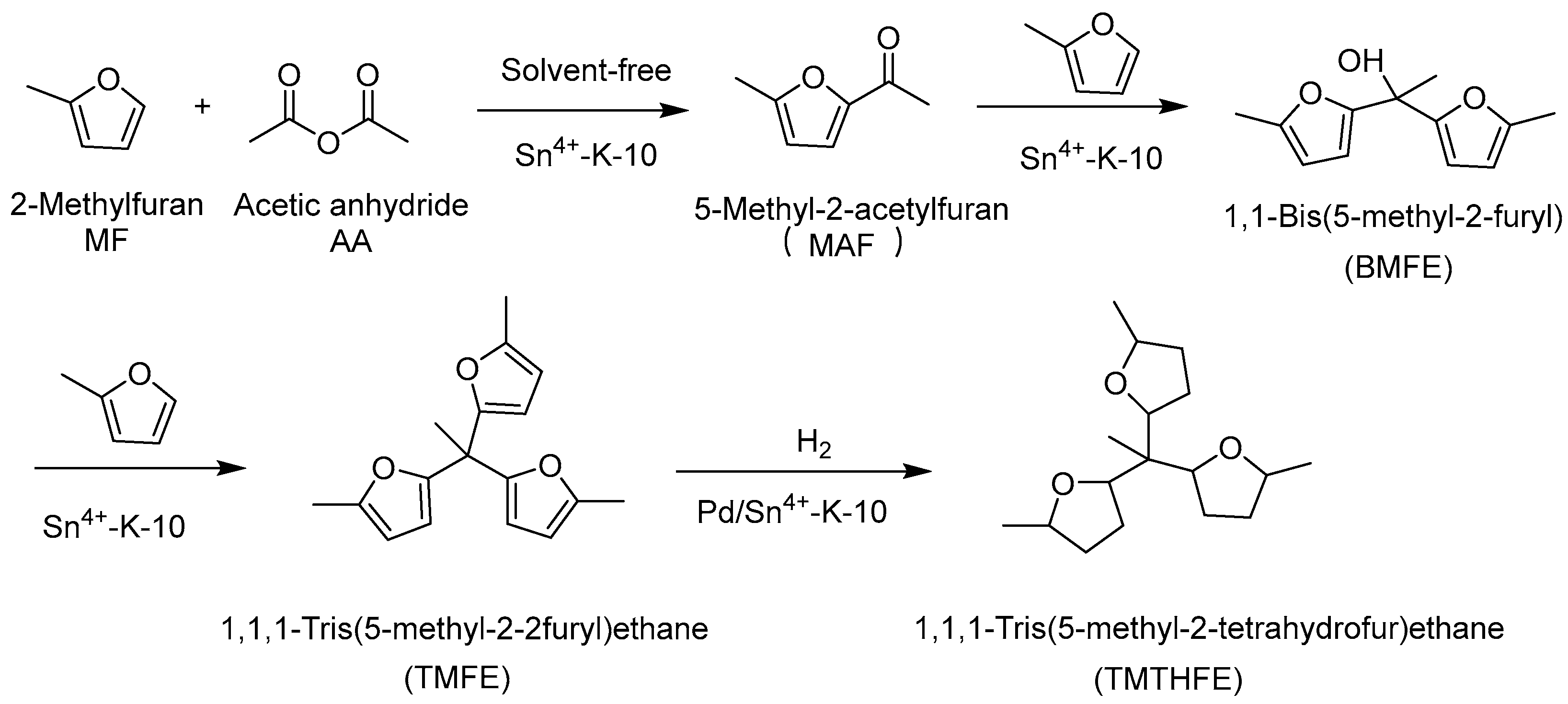Molecules 29 02976 g010