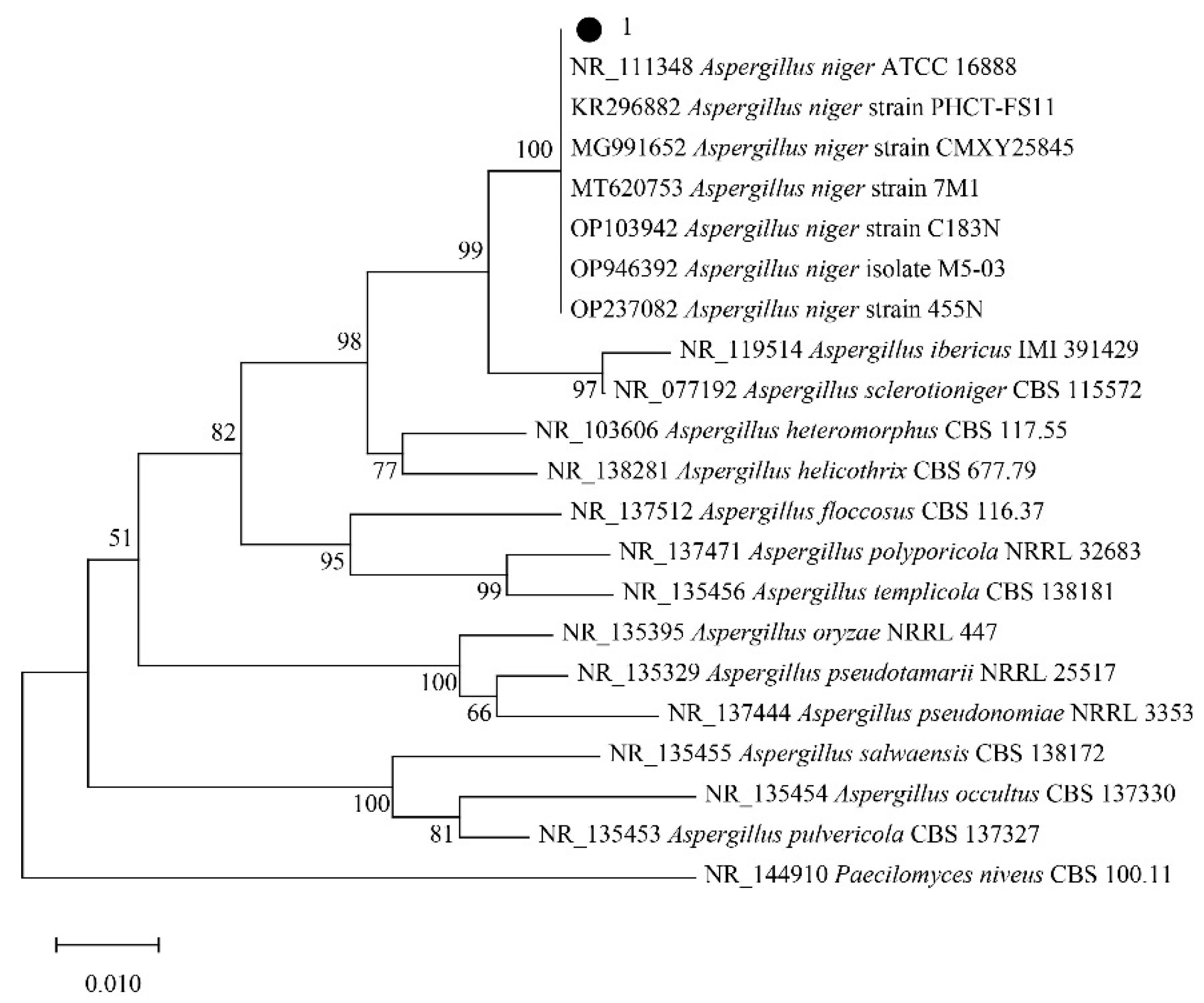 Molecules 29 02979 g002