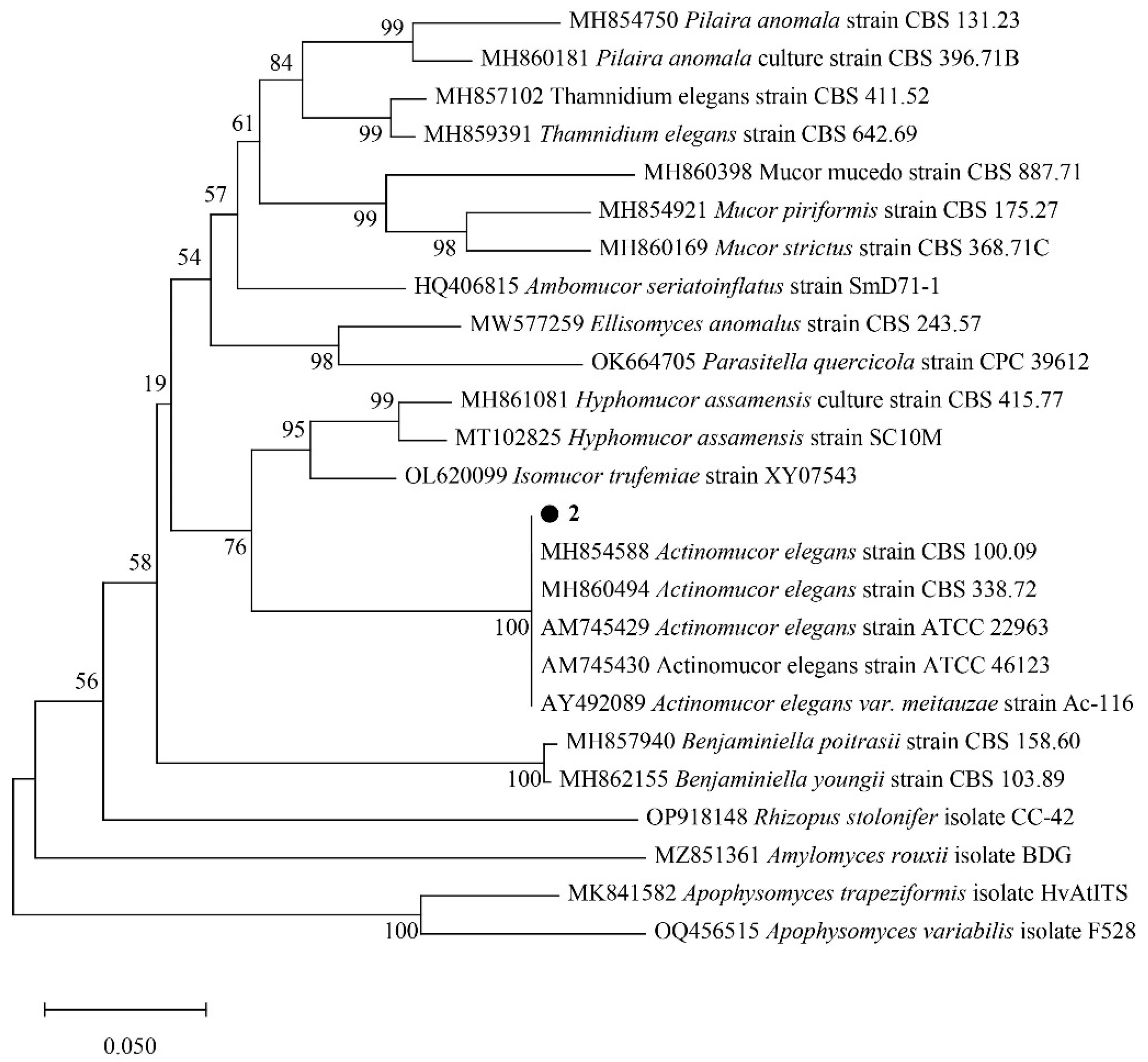 Molecules 29 02979 g003