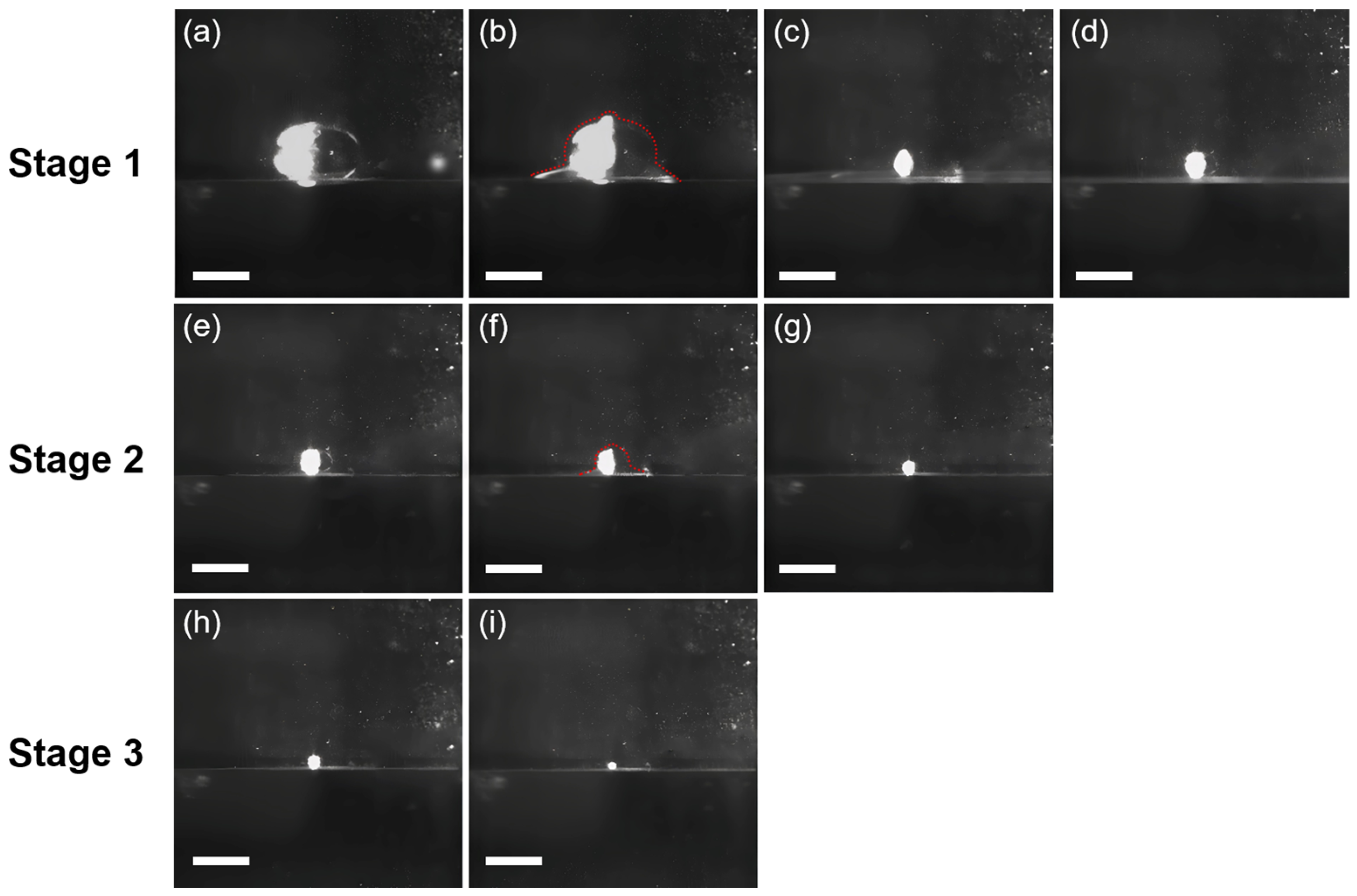 Molecules 29 02986 g001 Molecules 29 02986 g001