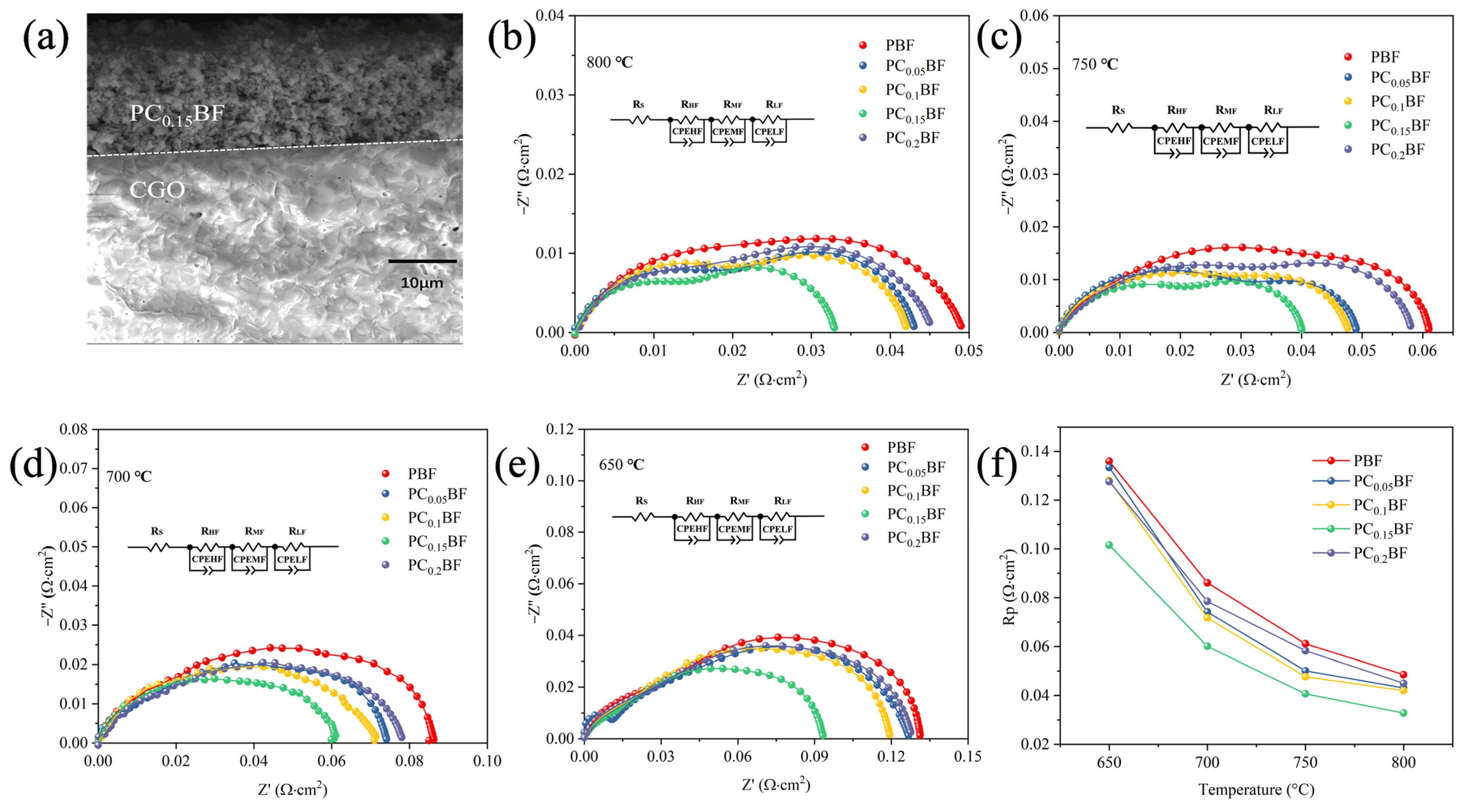 Molecules 29 02991 g006