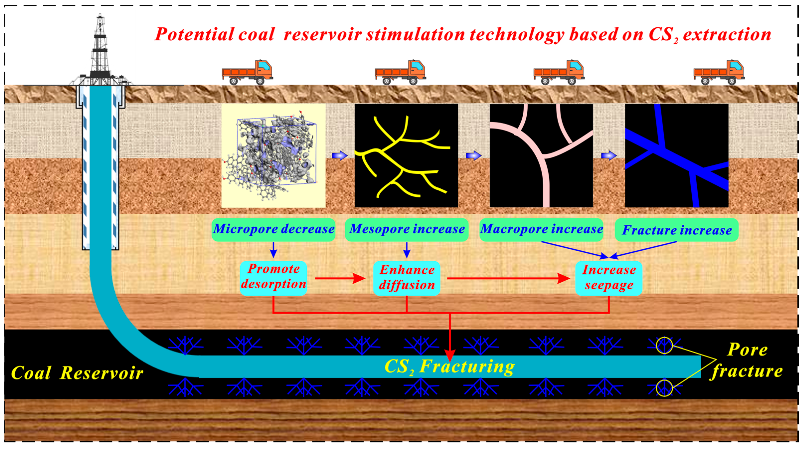 Molecules 29 02993 g010