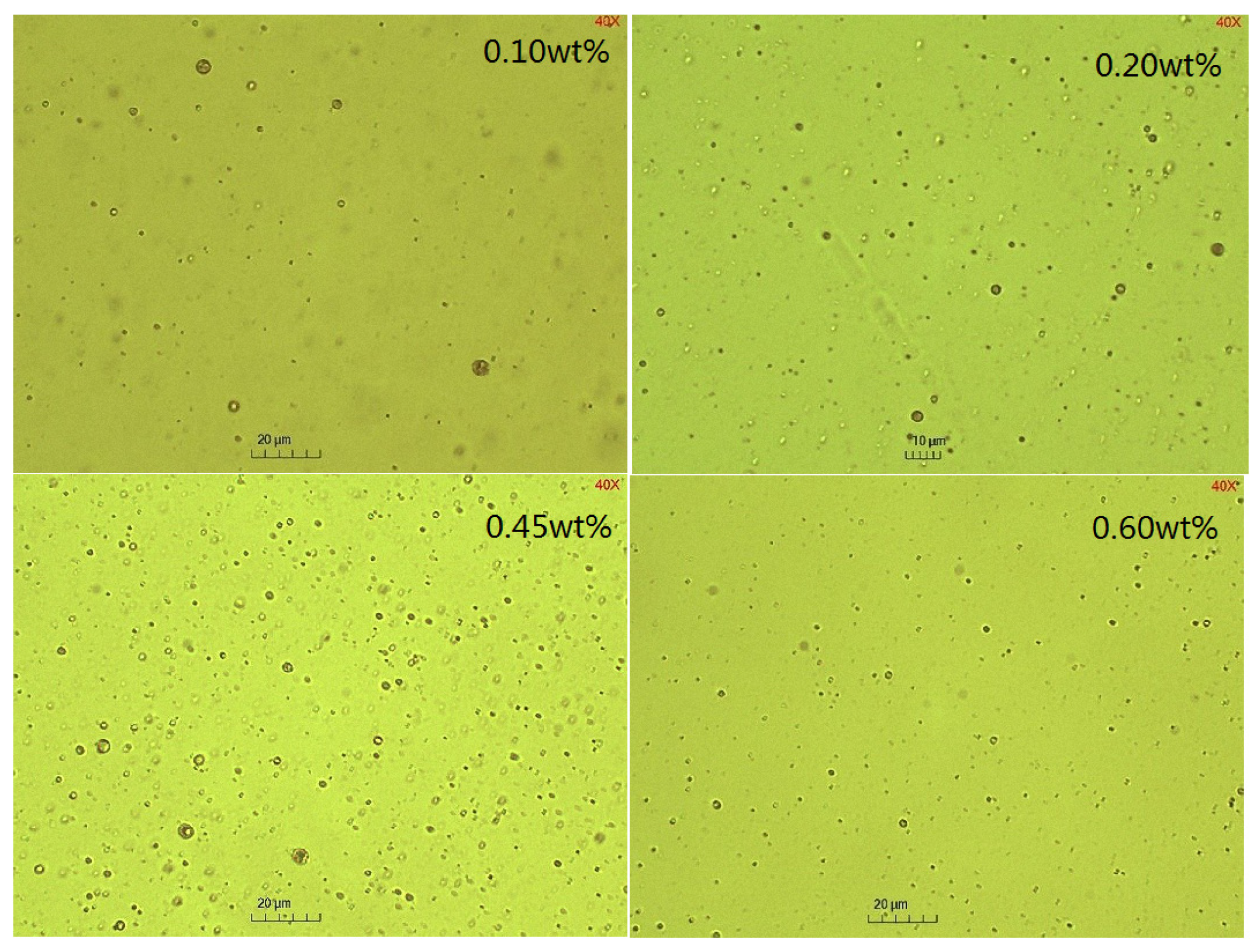 Molecules 29 02998 g008