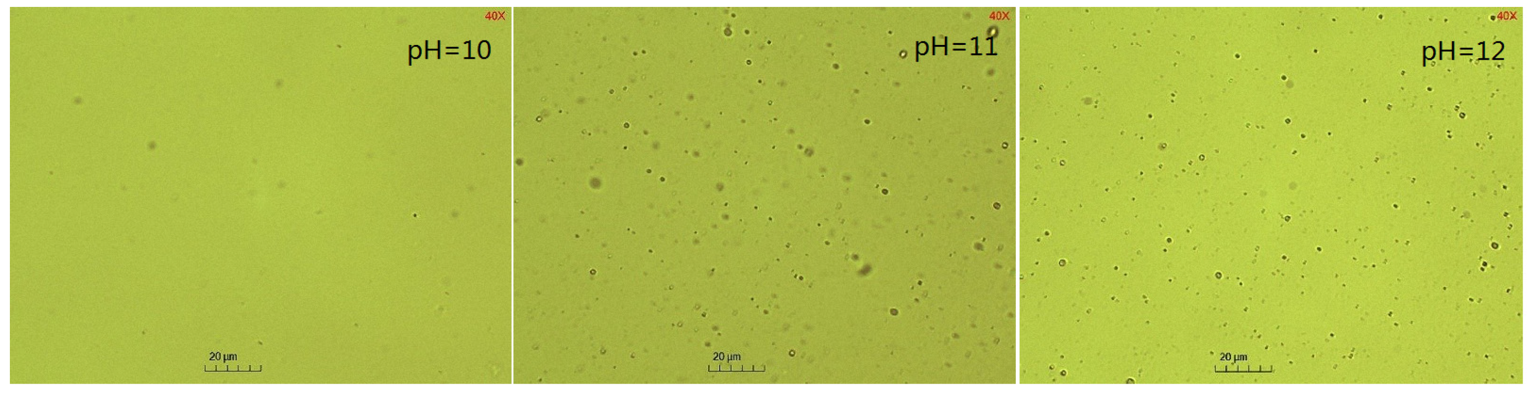 Molecules 29 02998 g011