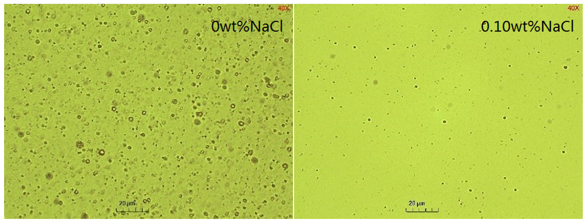 Molecules 29 02998 g014