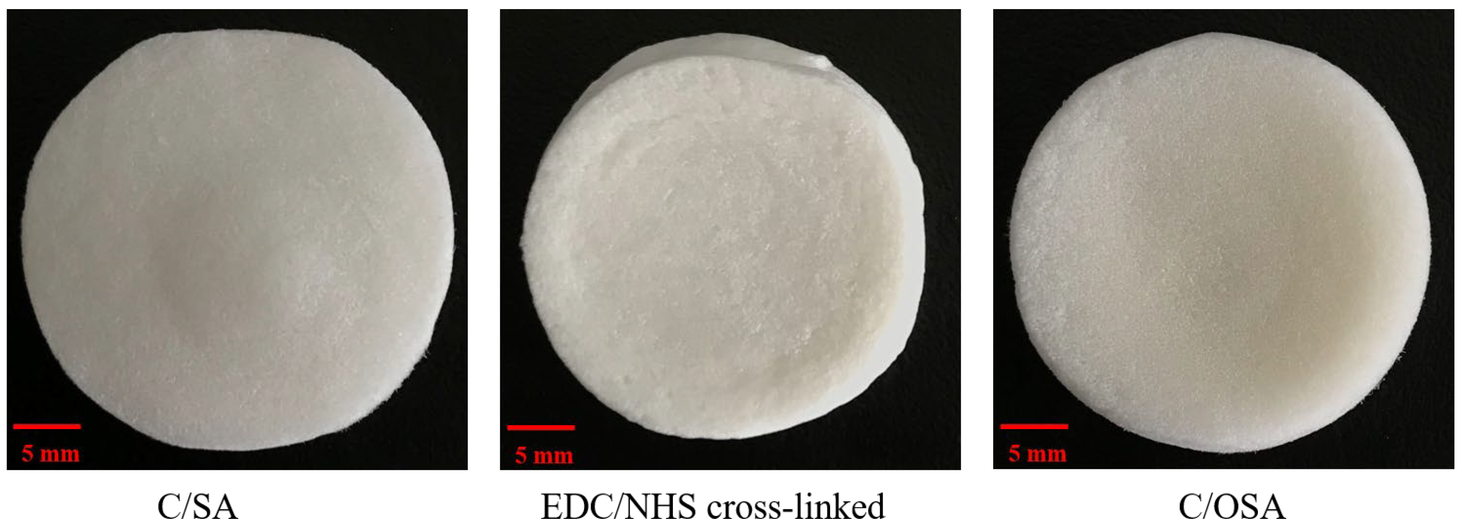 Molecules 29 02999 g001