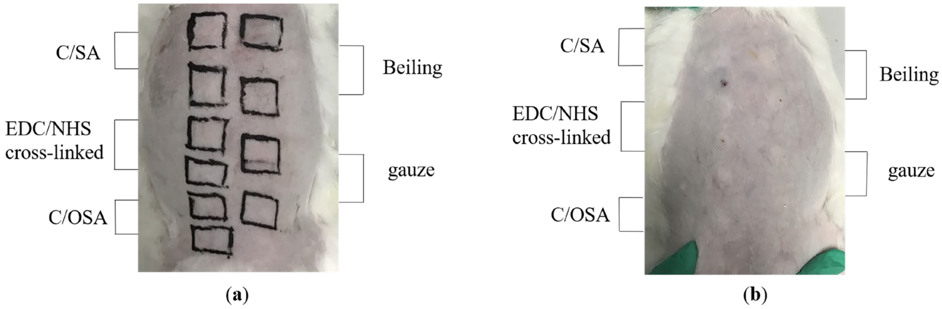 Molecules 29 02999 g006