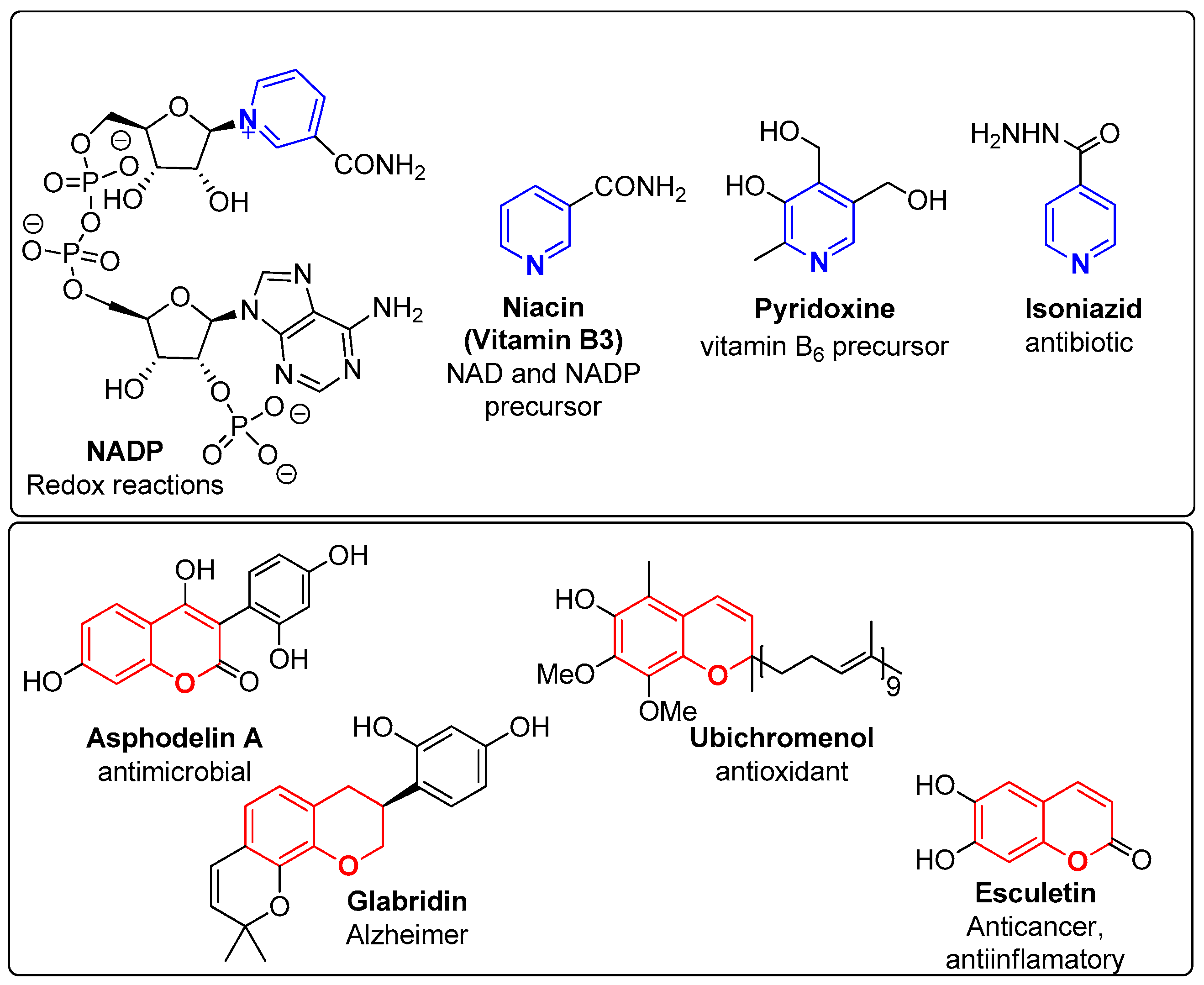 Molecules 29 03004 g001 Molecules 29 03004 g001