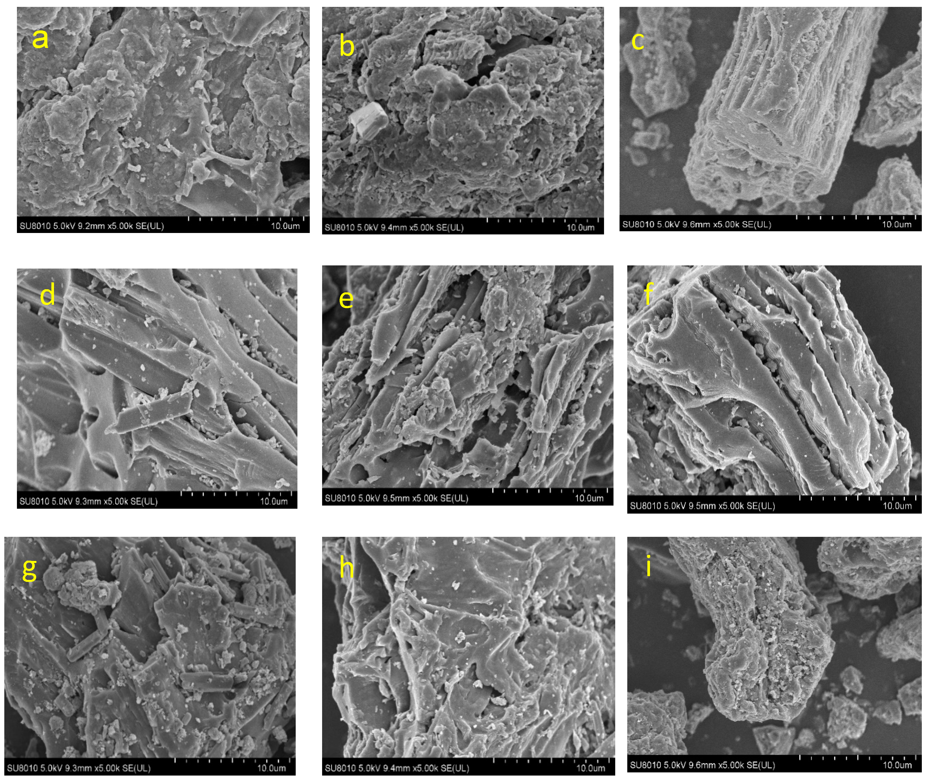Molecules 29 03007 g003